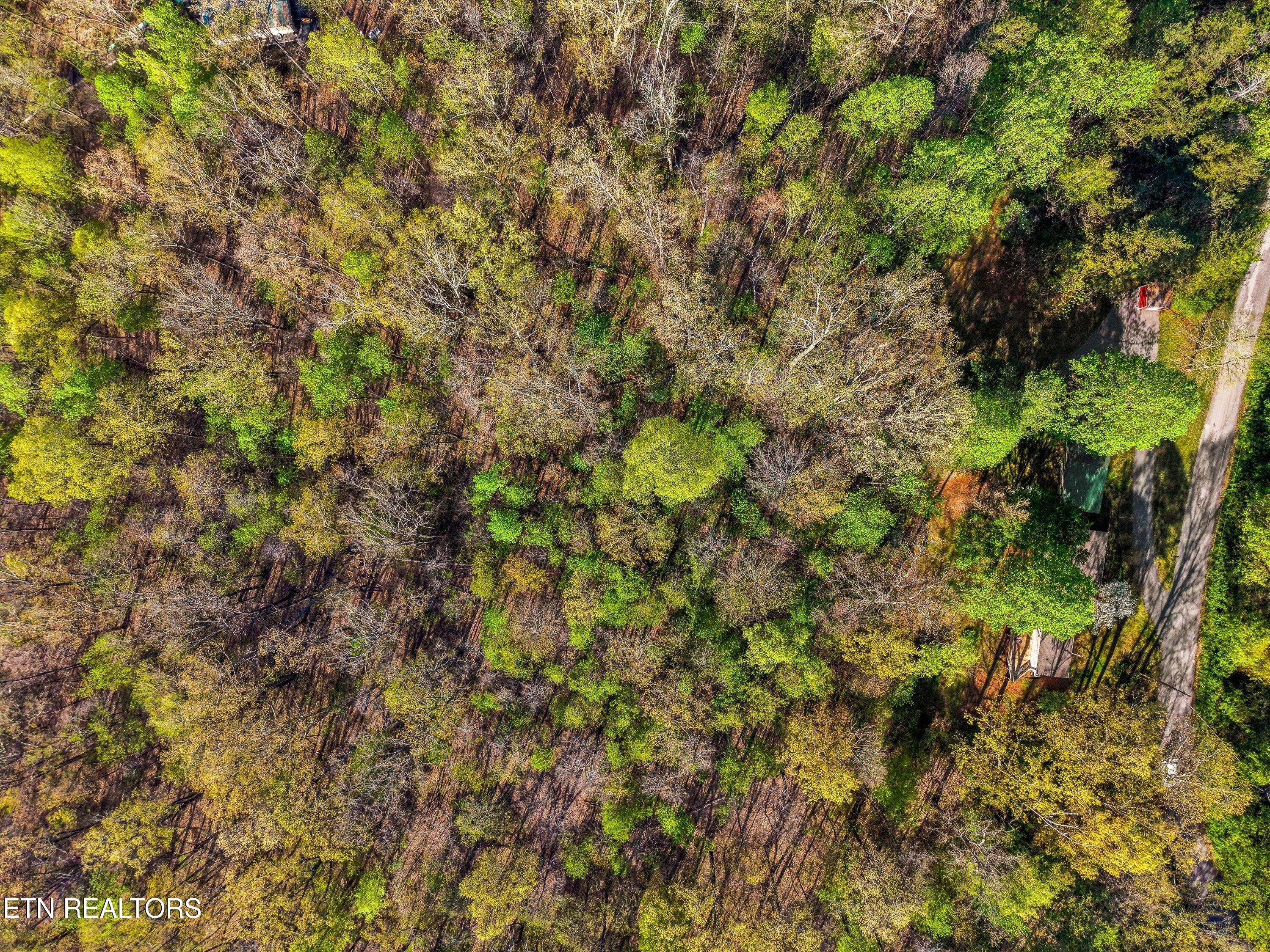3112 Shanks Lane Knoxville TN 37938