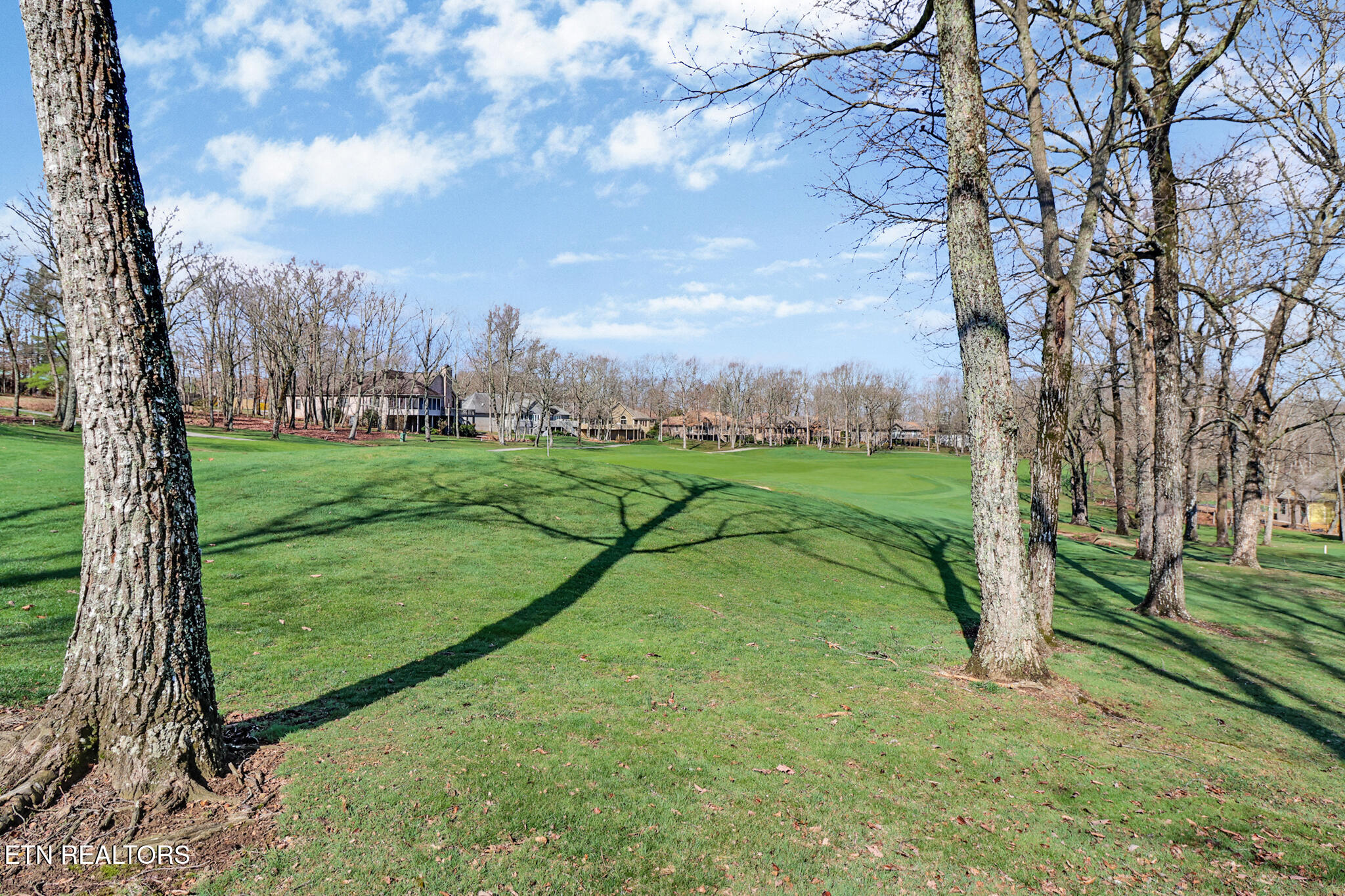 103 Bent Oak Terrace Crossville TN 38558