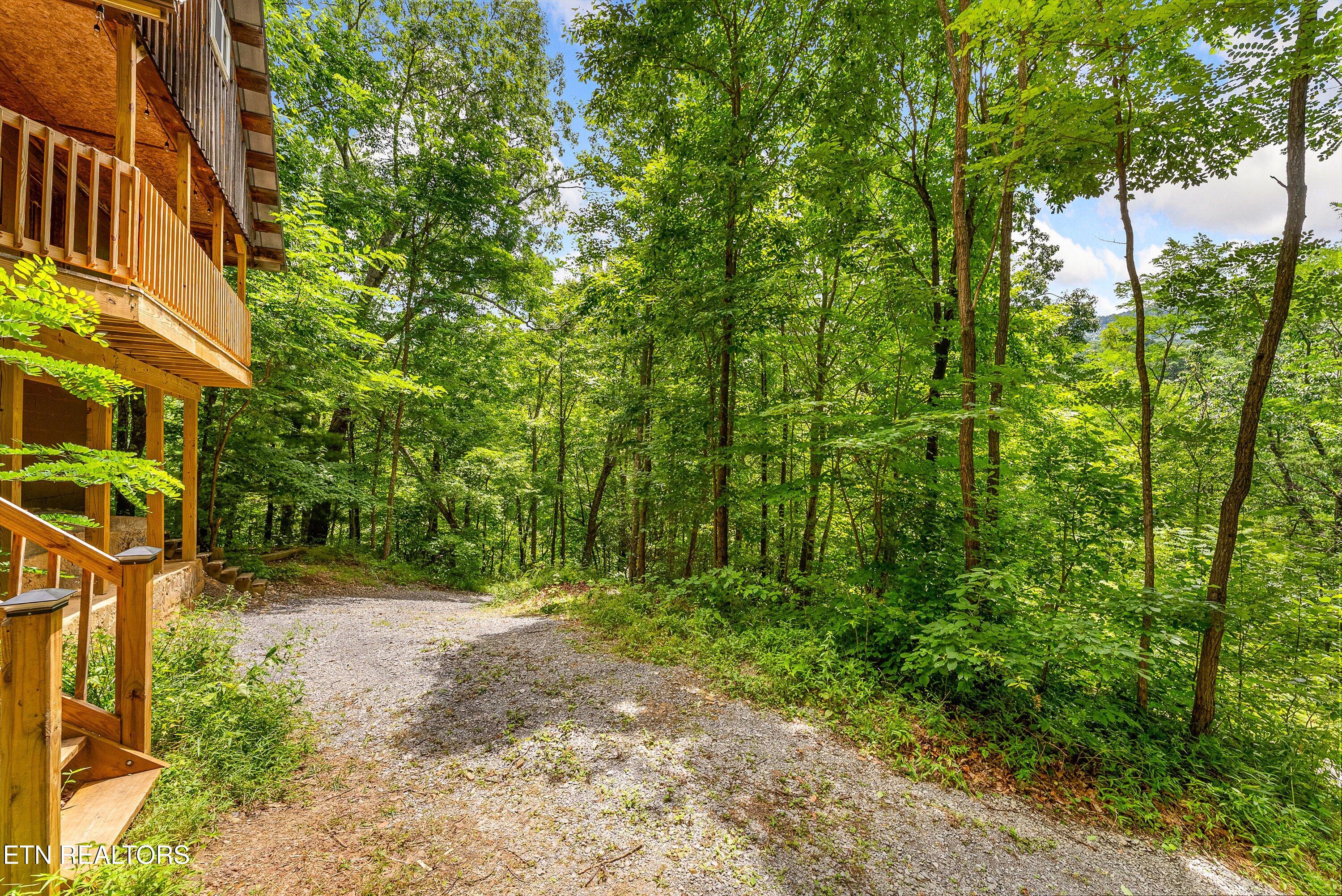 1222 S Highway 32 Cosby TN 37722