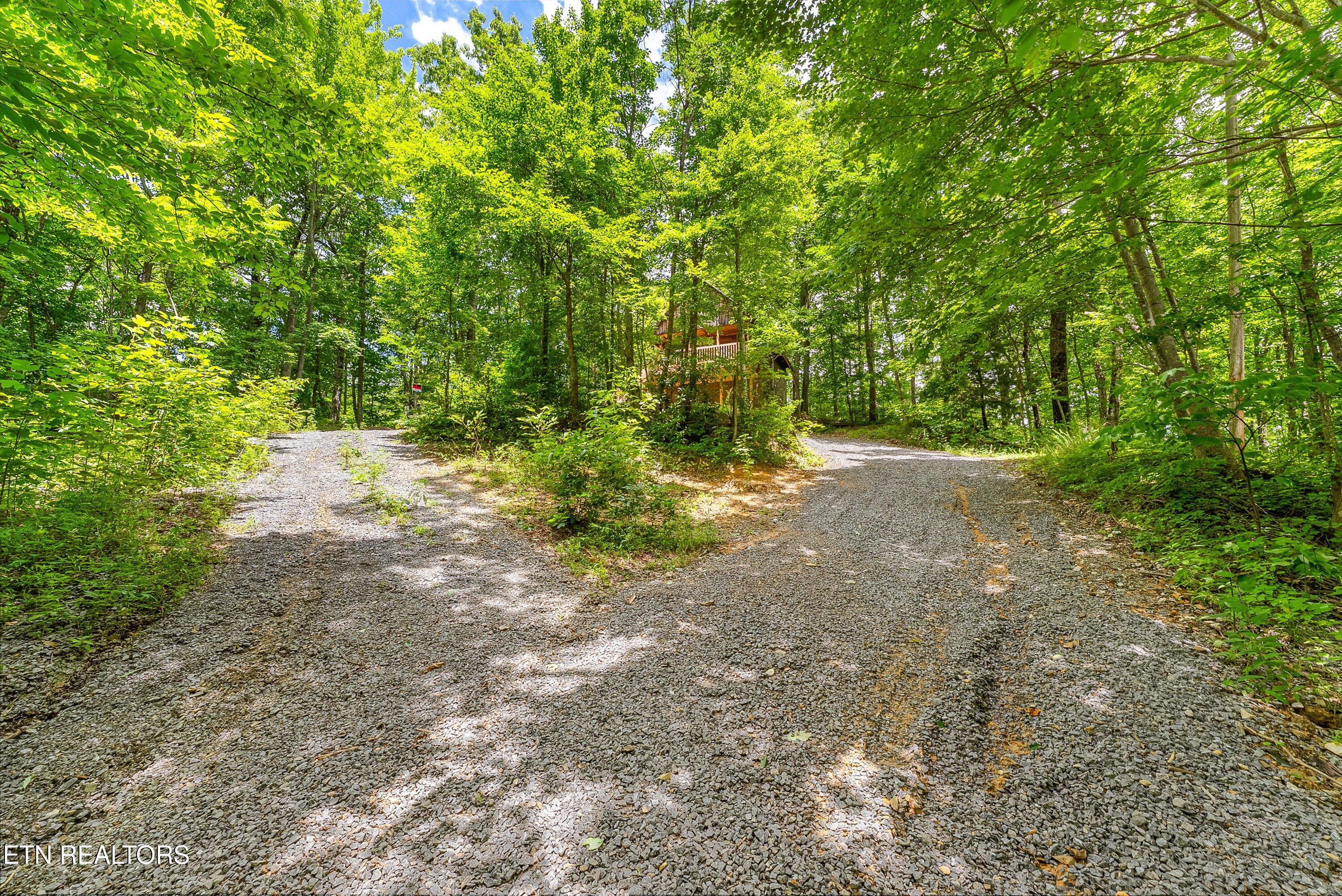 1222 S Highway 32 Cosby TN 37722