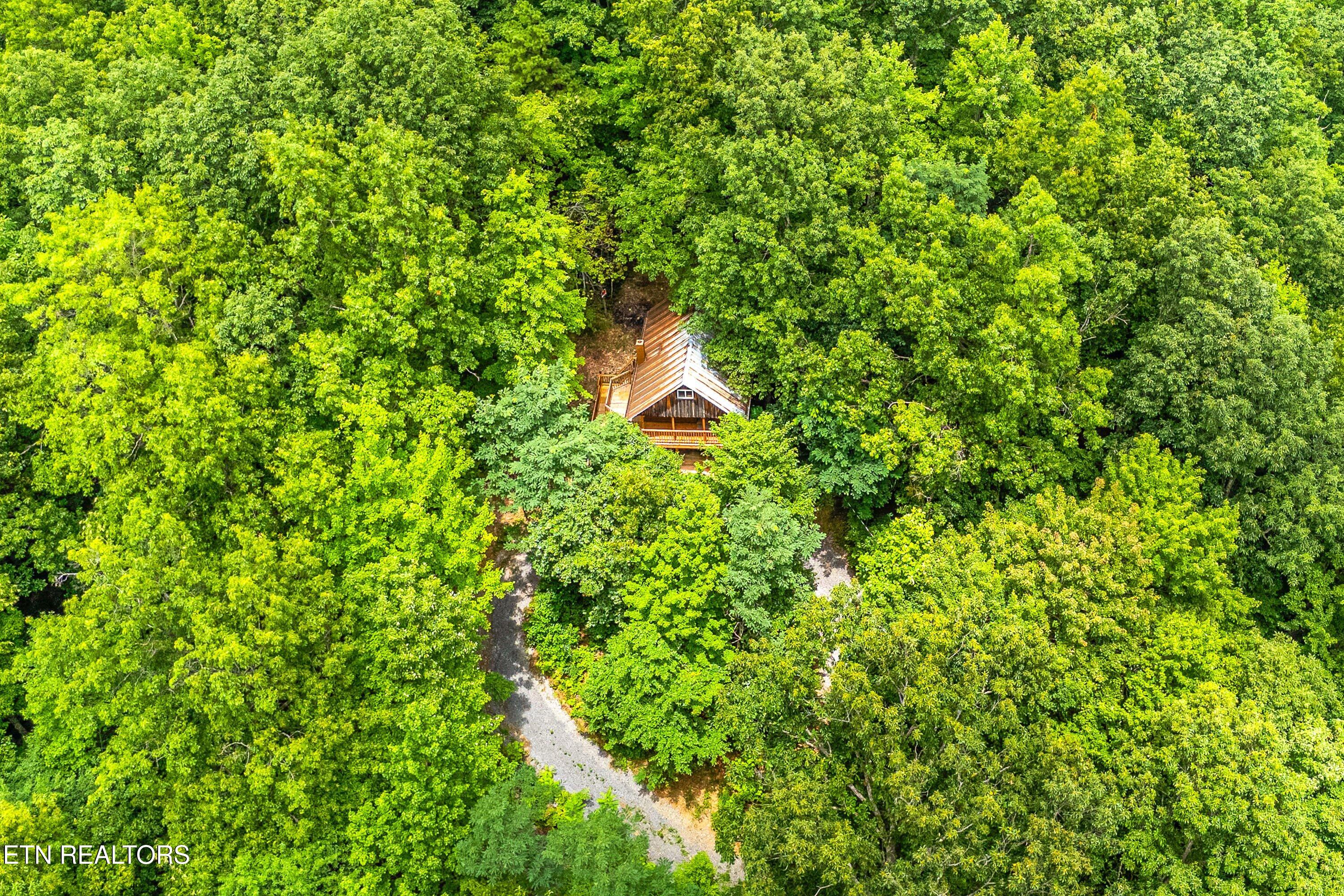 1222 S Highway 32 Cosby TN 37722