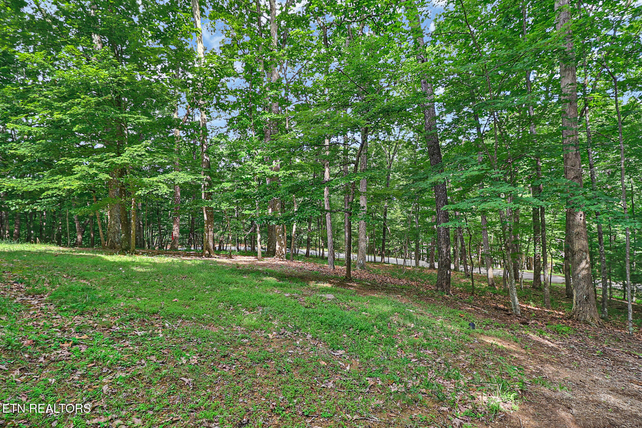 52 & 32 Harley Circle Crossville TN 38558