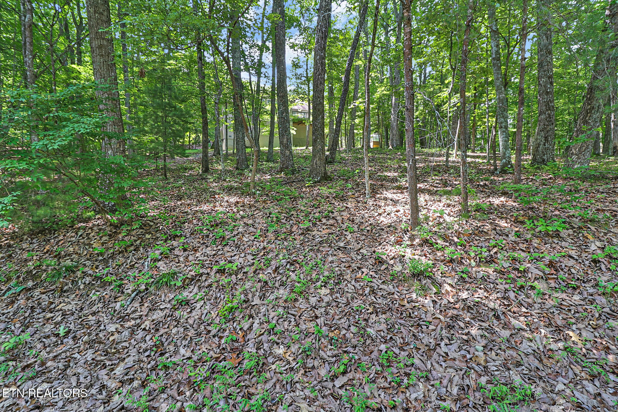 52 & 32 Harley Circle Crossville TN 38558