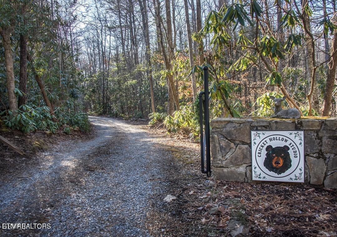 125 Cricket Hollow Way Cosby TN 37722