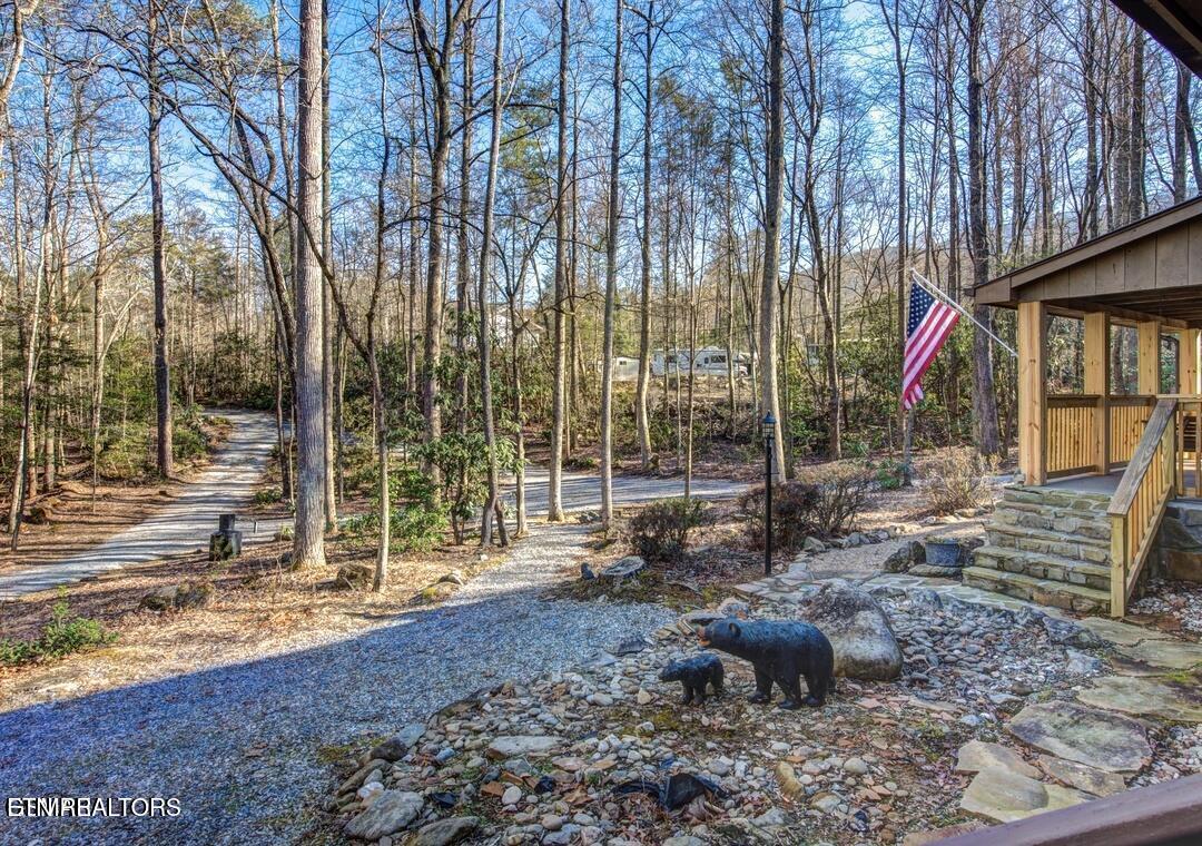125 Cricket Hollow Way Cosby TN 37722