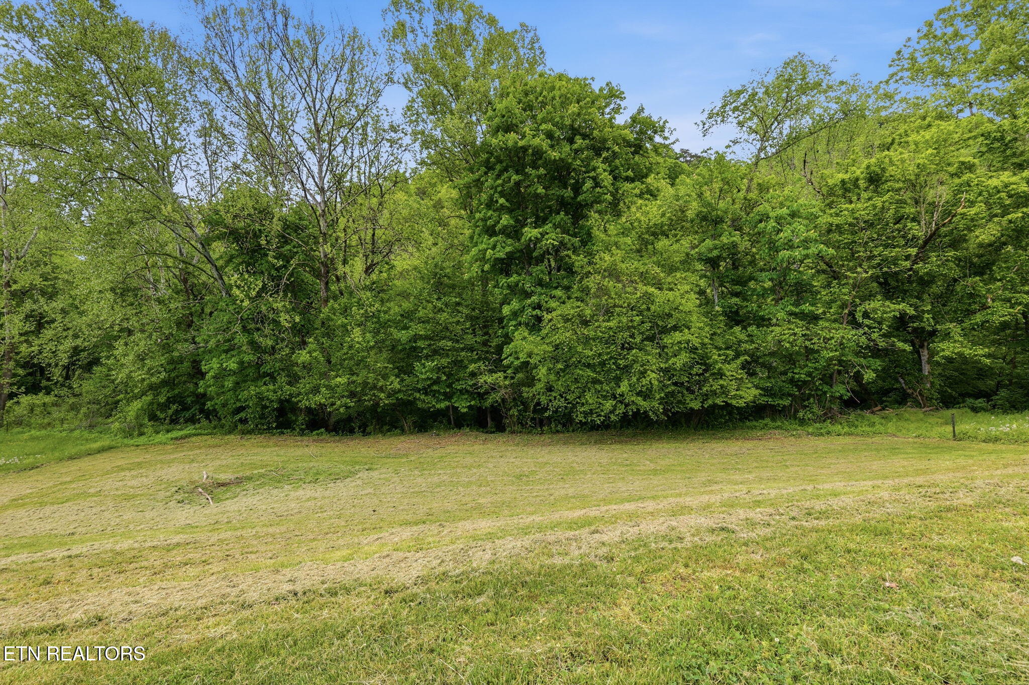 431 Highridge Court Maynardville TN 37807