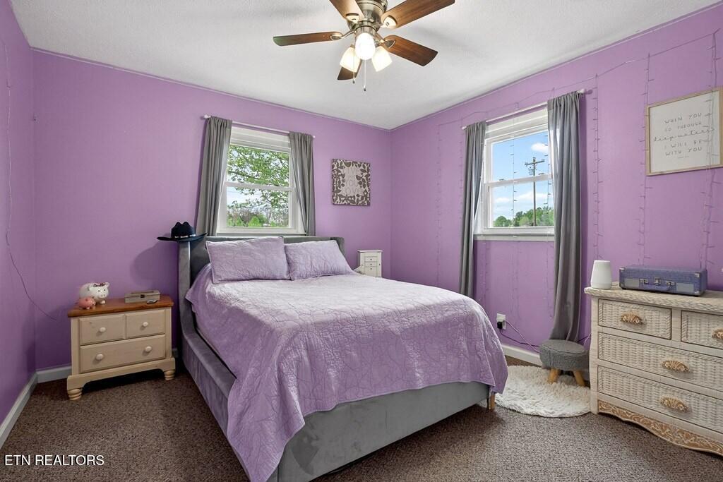 237 Armstrong Road Doyle TN 38559