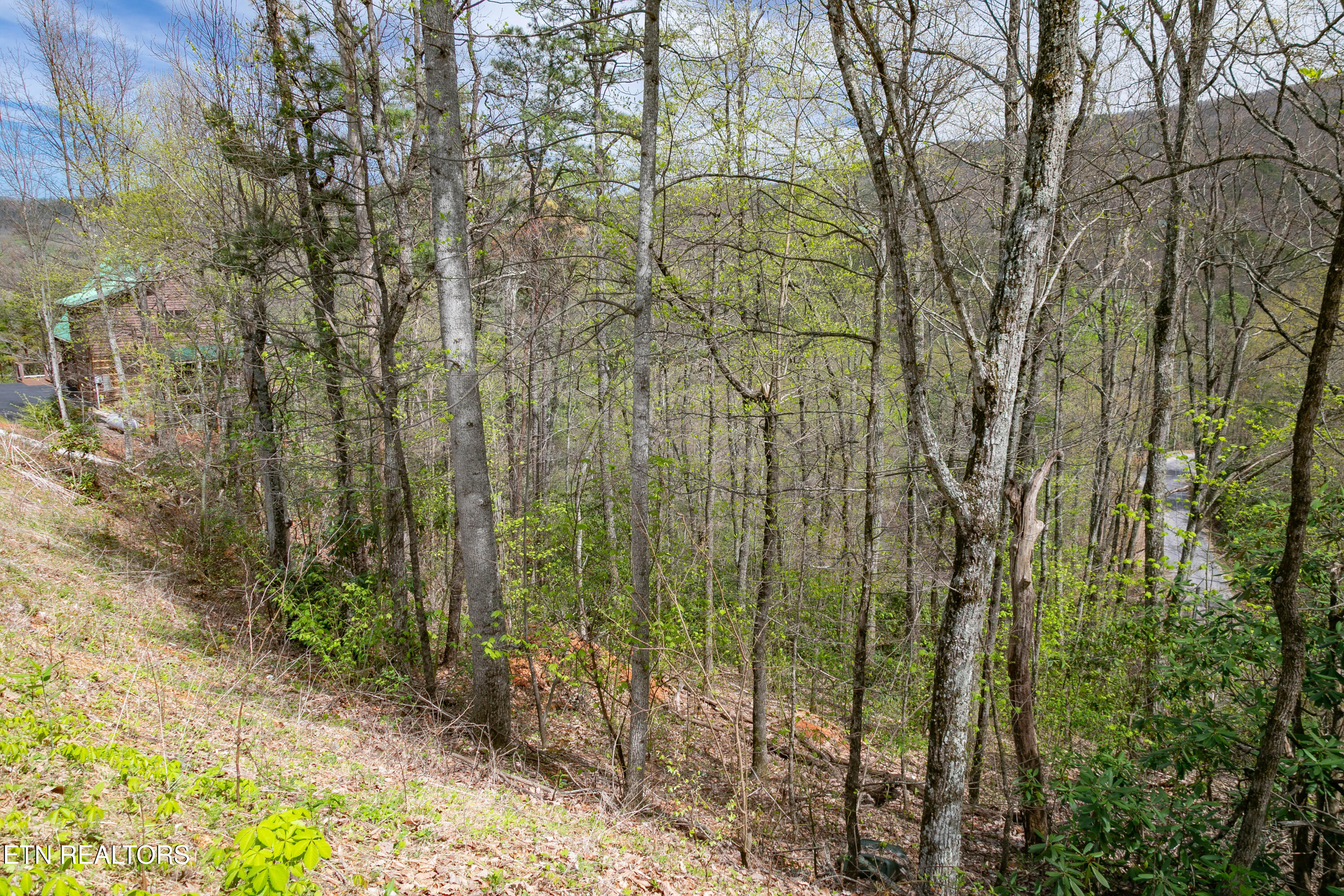 3059 Perry Circle & Lot 11 Lane Sevierville TN 37862