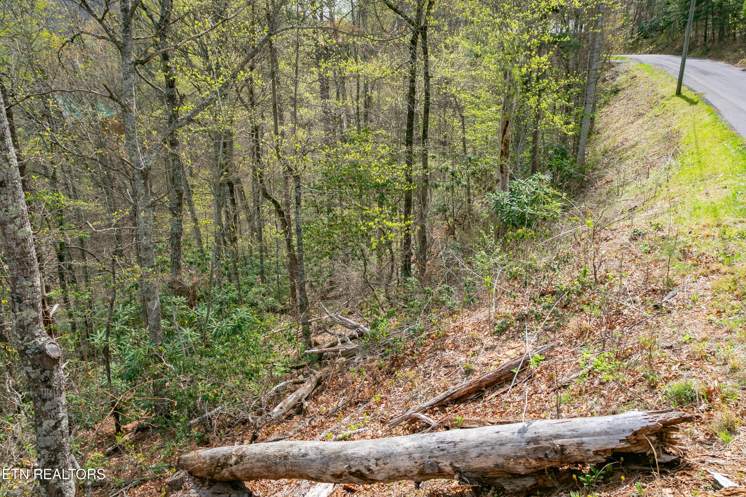 3059 Perry Circle & Lot 11 Lane Sevierville TN 37862