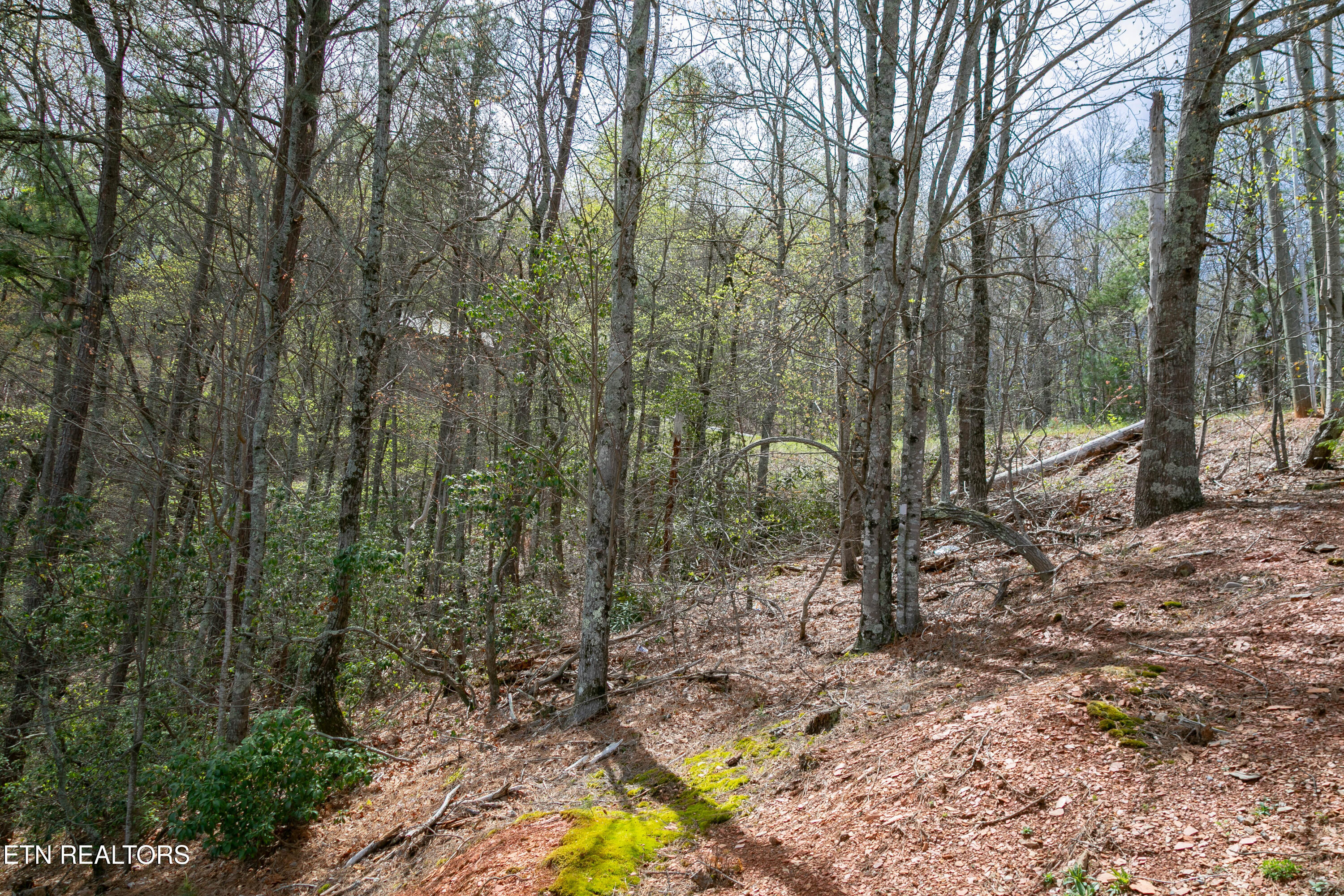 3059 Perry Circle & Lot 11 Lane Sevierville TN 37862