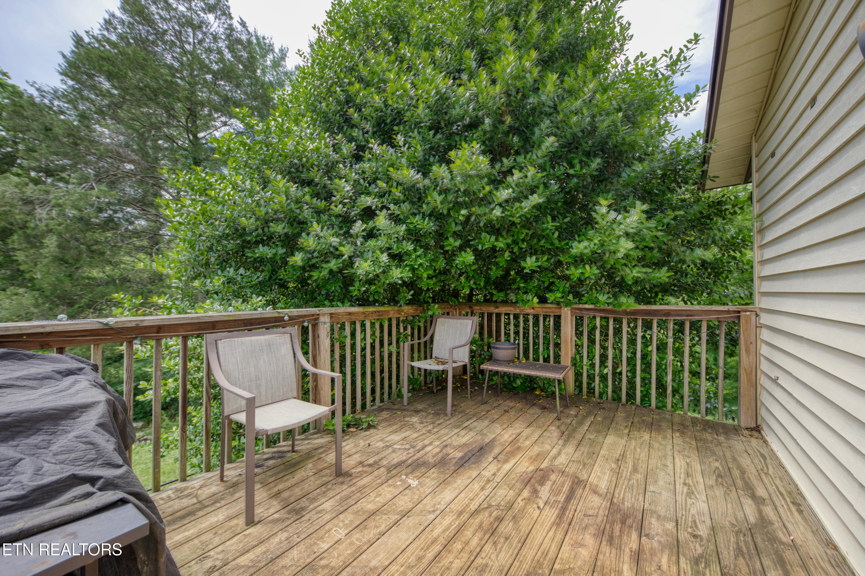 4403 Mace Lane Knoxville TN 37938