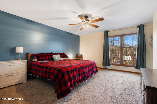 3720 Whitworth Drive Knoxville TN 37938
