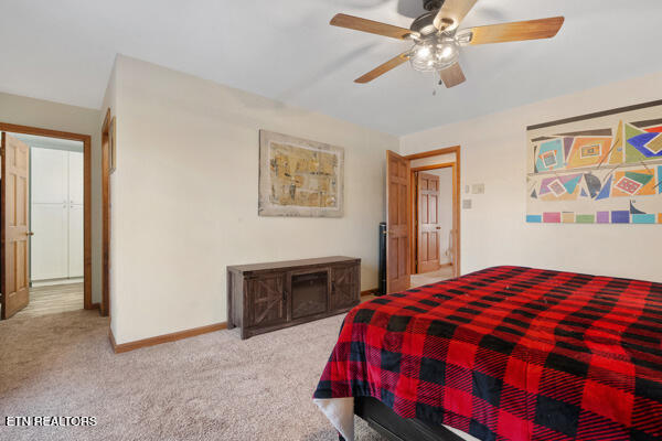 3720 Whitworth Drive Knoxville TN 37938