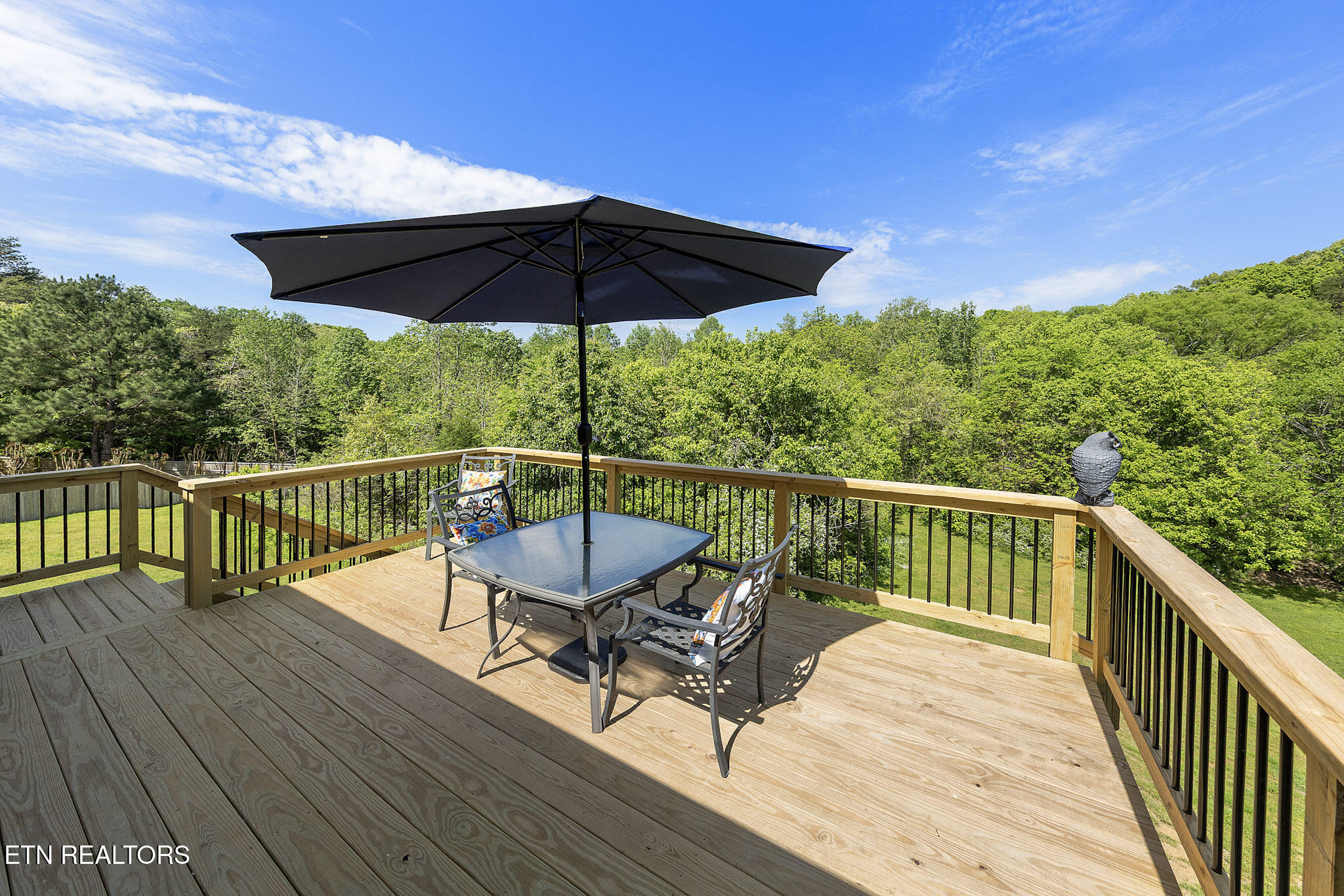 1123 Mercer Drive Maryville TN 37801