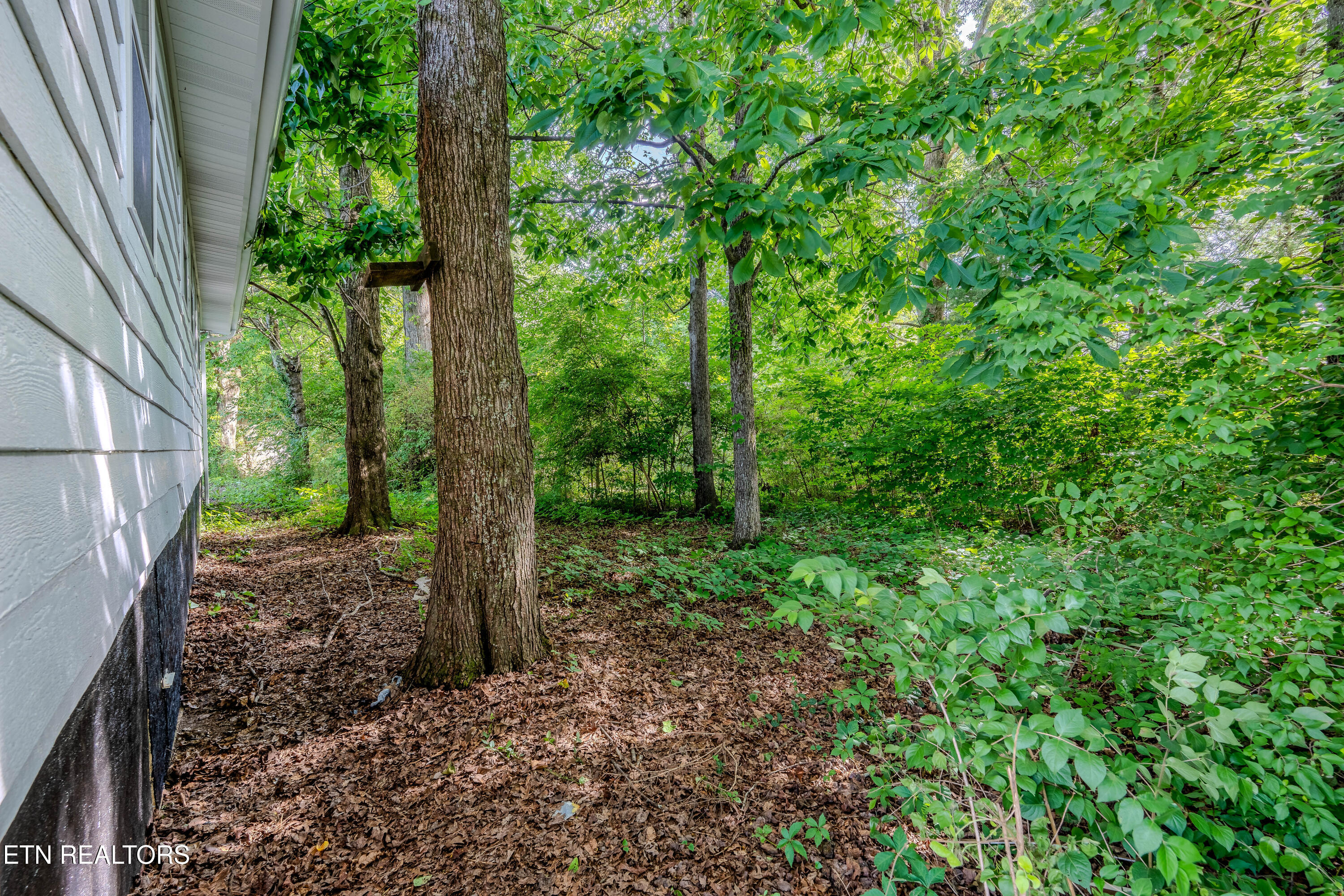 356 Beechwood Lane Clinton TN 37716