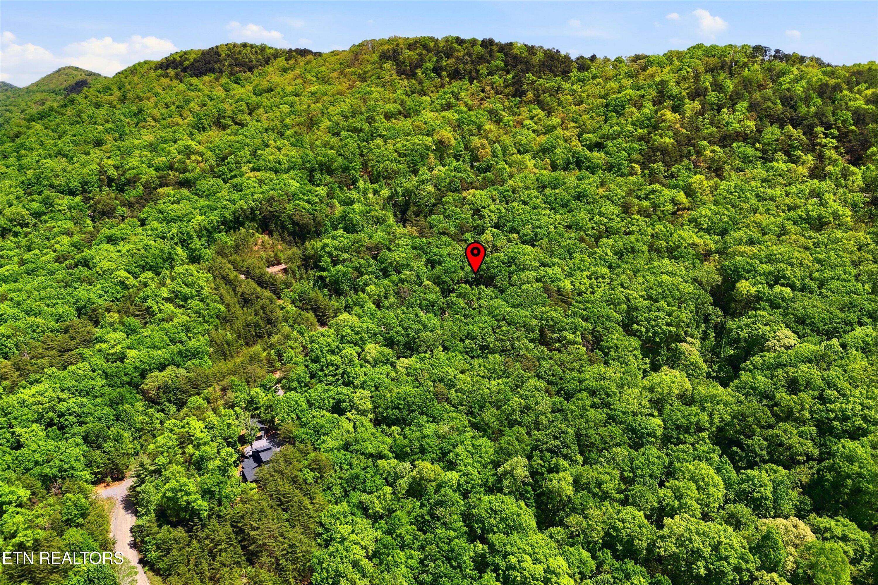460 Norton Crossing Maryville TN 37803