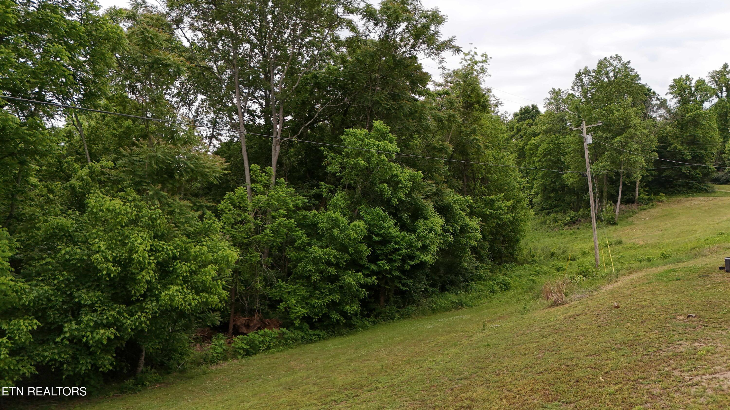 1825 Freehill Road Celina TN 38551