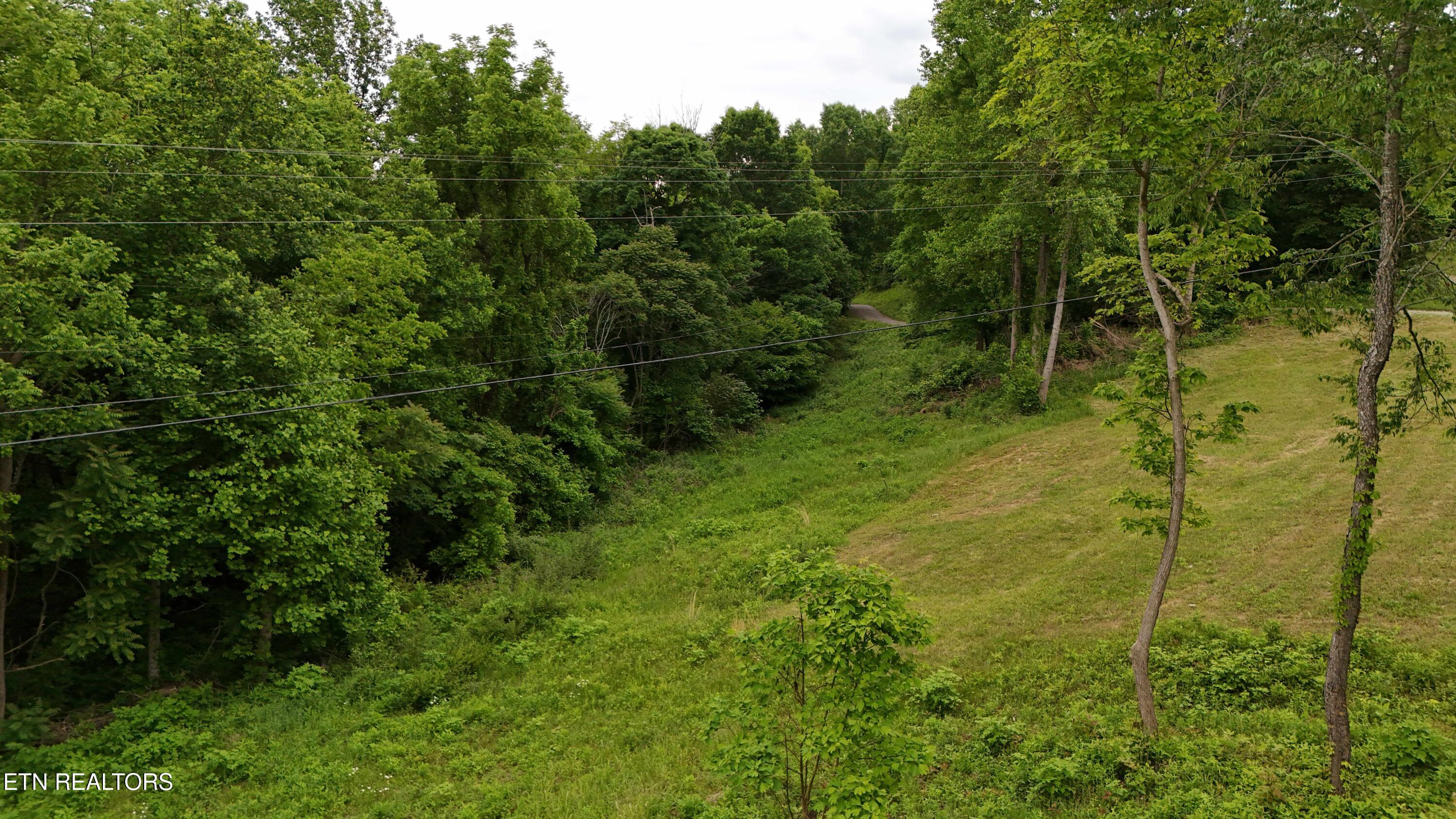 1825 Freehill Road Celina TN 38551