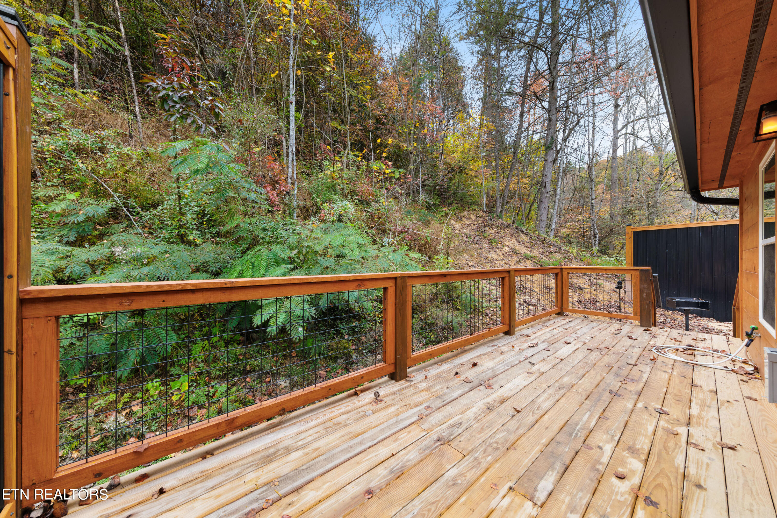 4715 Tiger Lilly Drive Cosby TN 37722