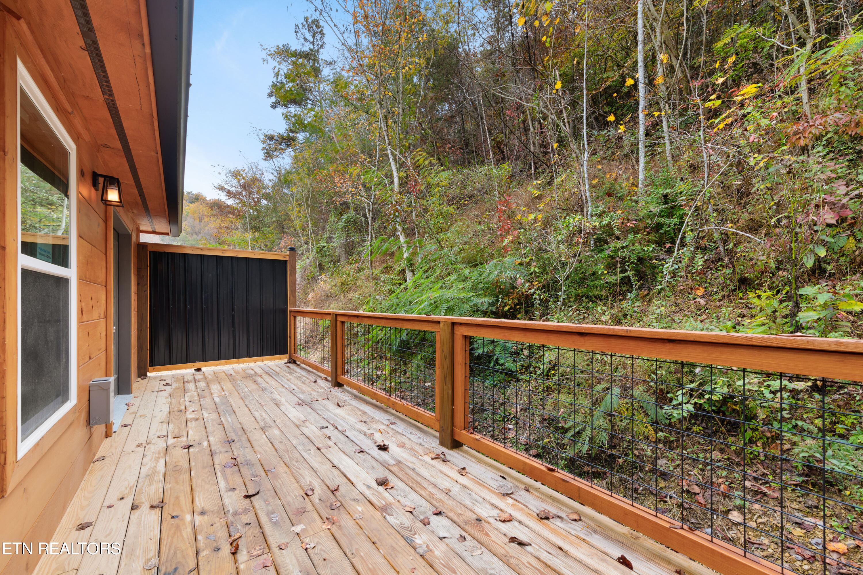 4715 Tiger Lilly Drive Cosby TN 37722