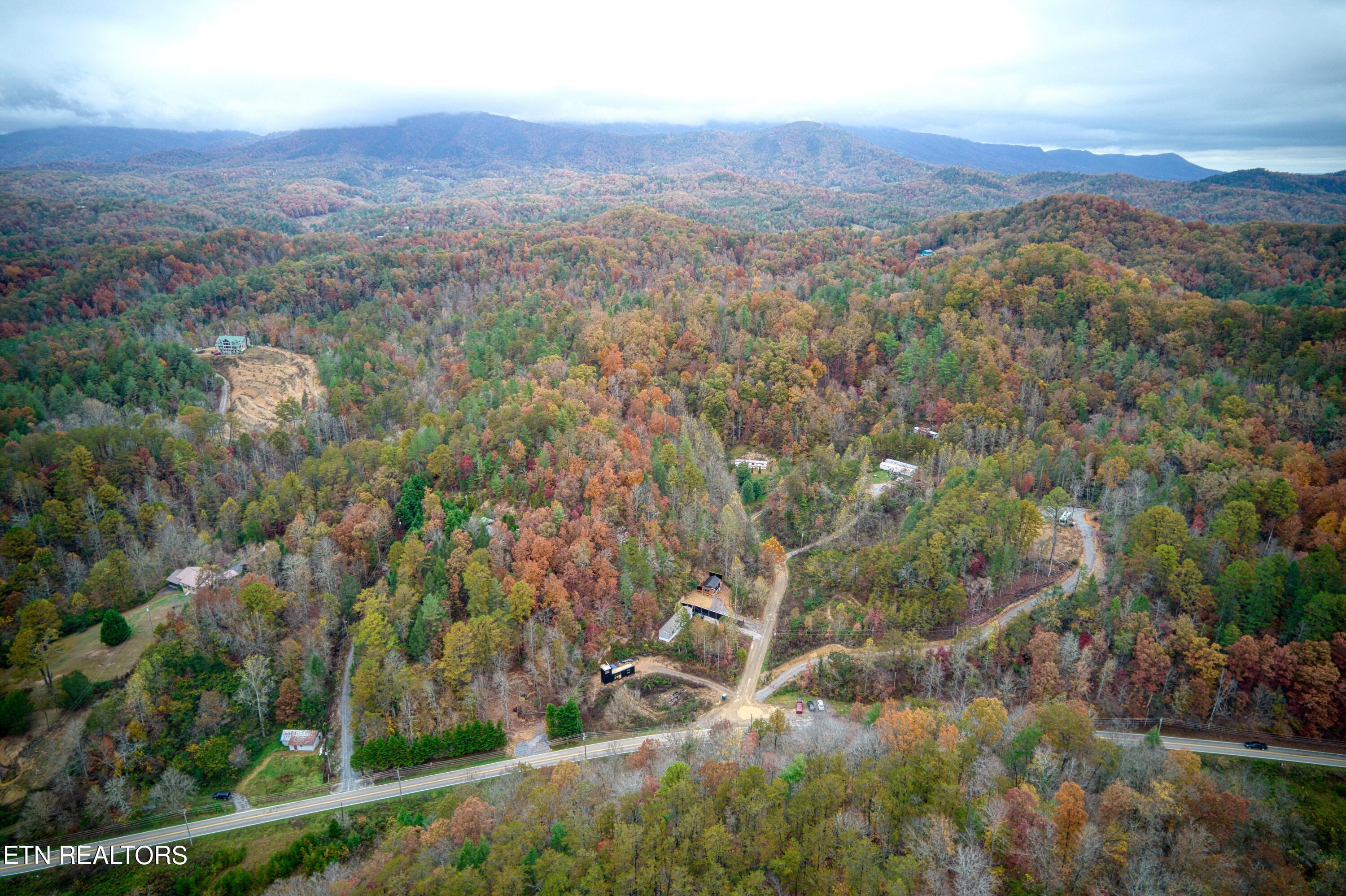 4715 Tiger Lilly Drive Cosby TN 37722