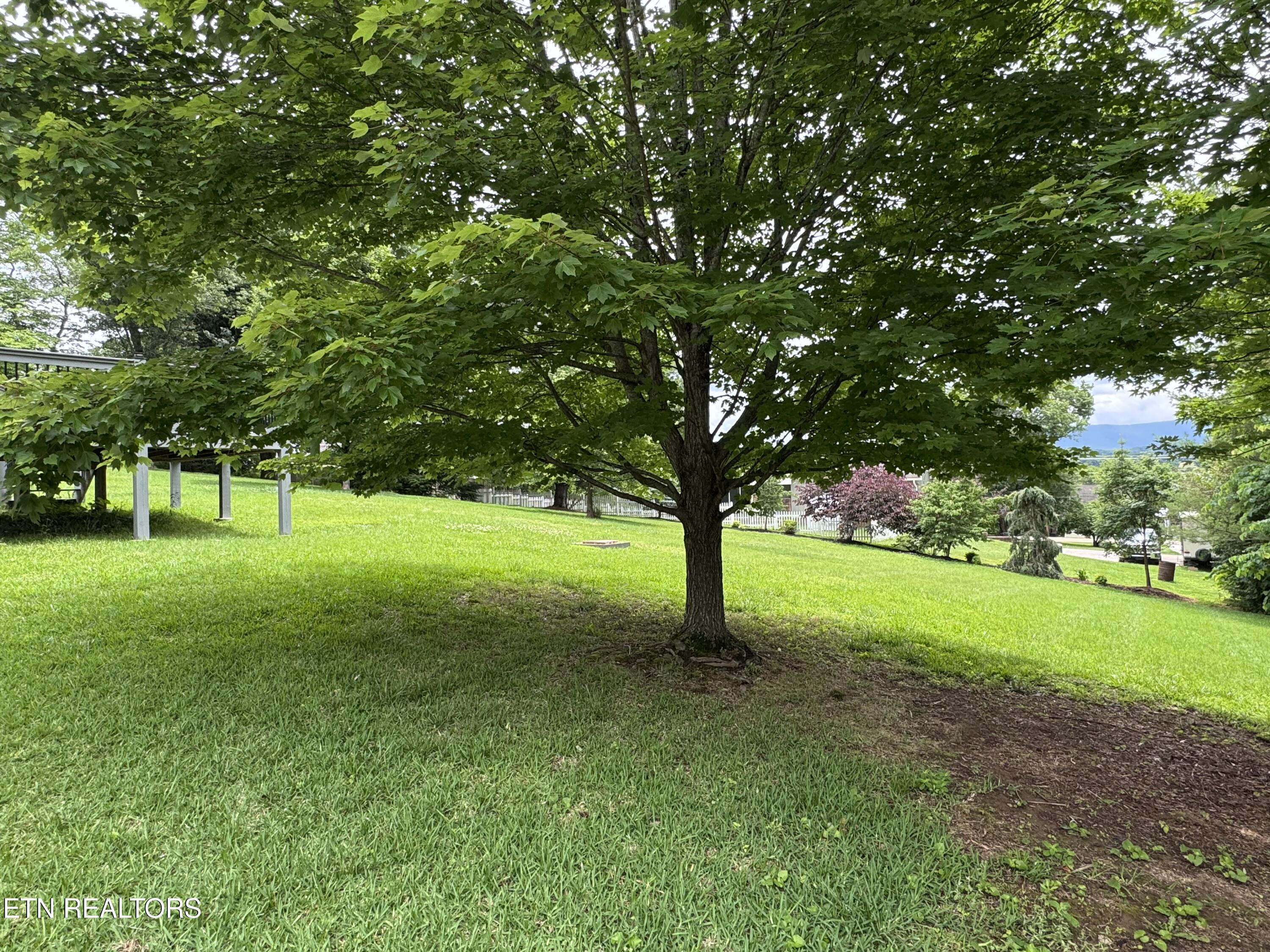 1017 Peterson Lane Maryville TN 37803