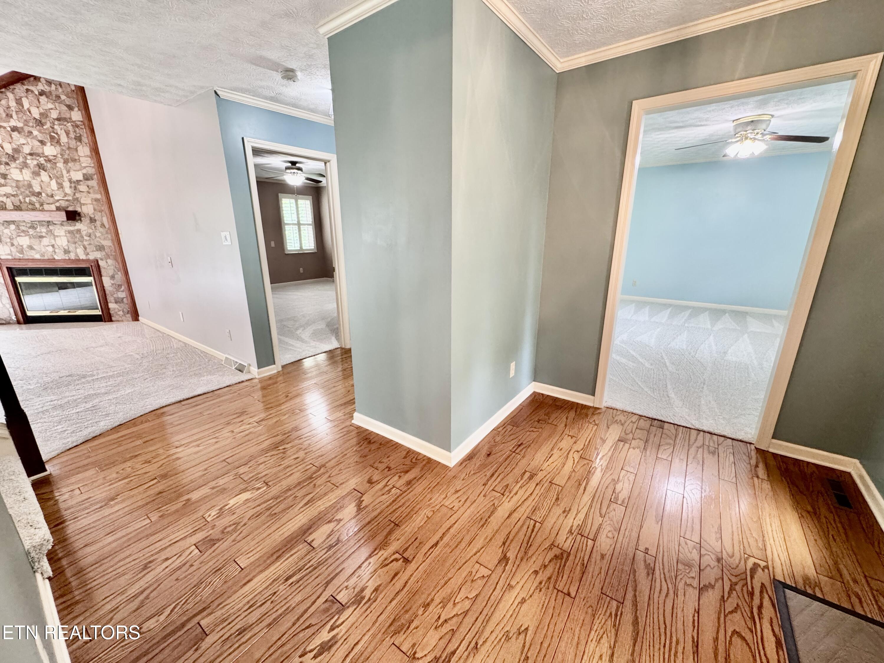 1017 Peterson Lane Maryville TN 37803