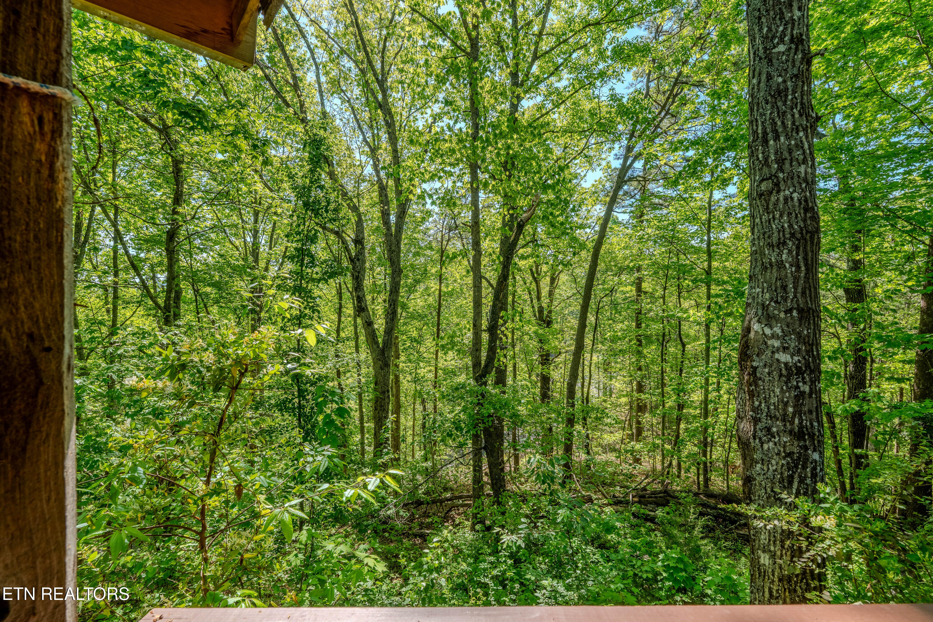 3521 Vonnie View Way Sevierville TN 37876