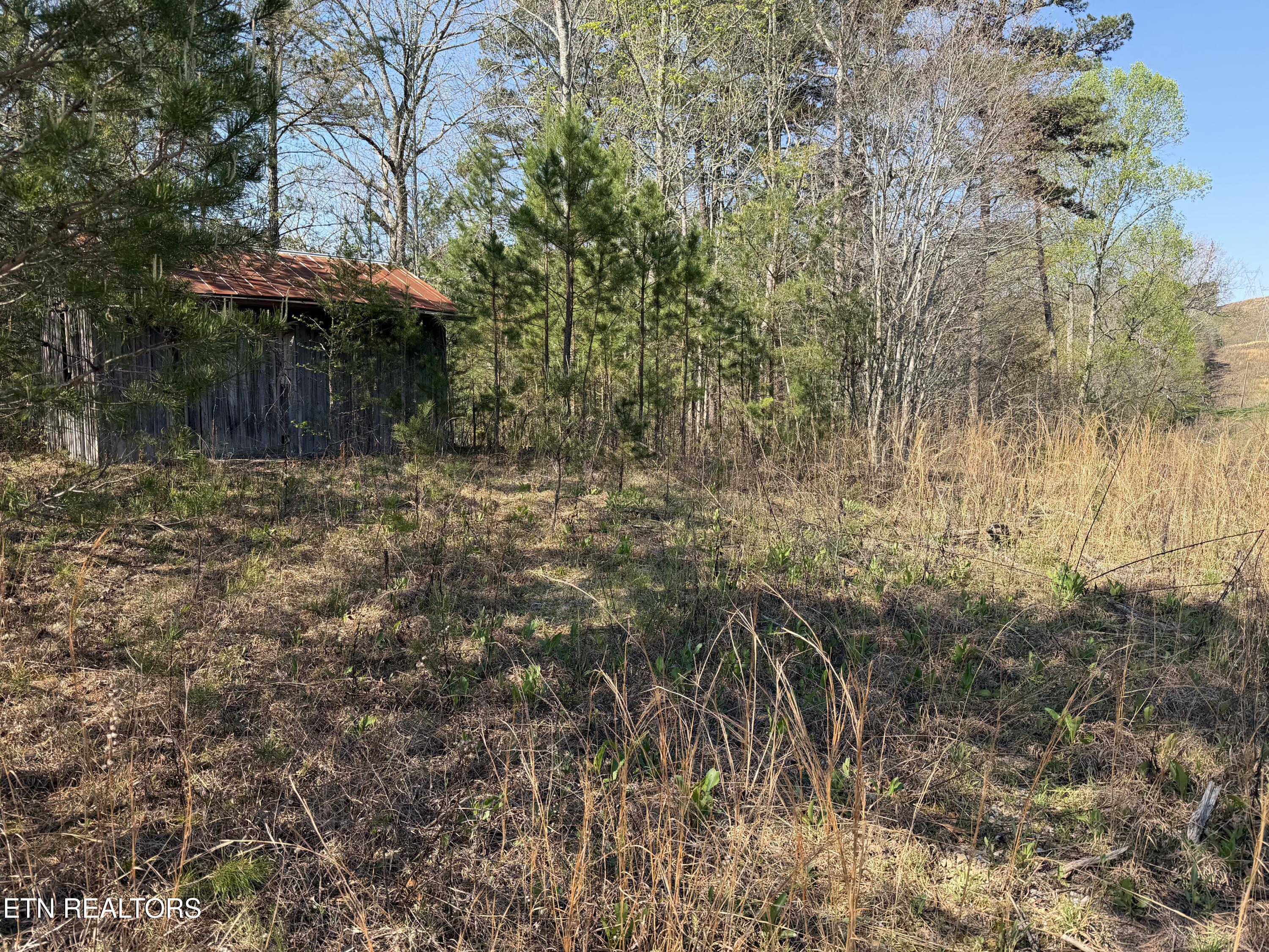 13320 New Highway 68 Tellico Plains TN 37385