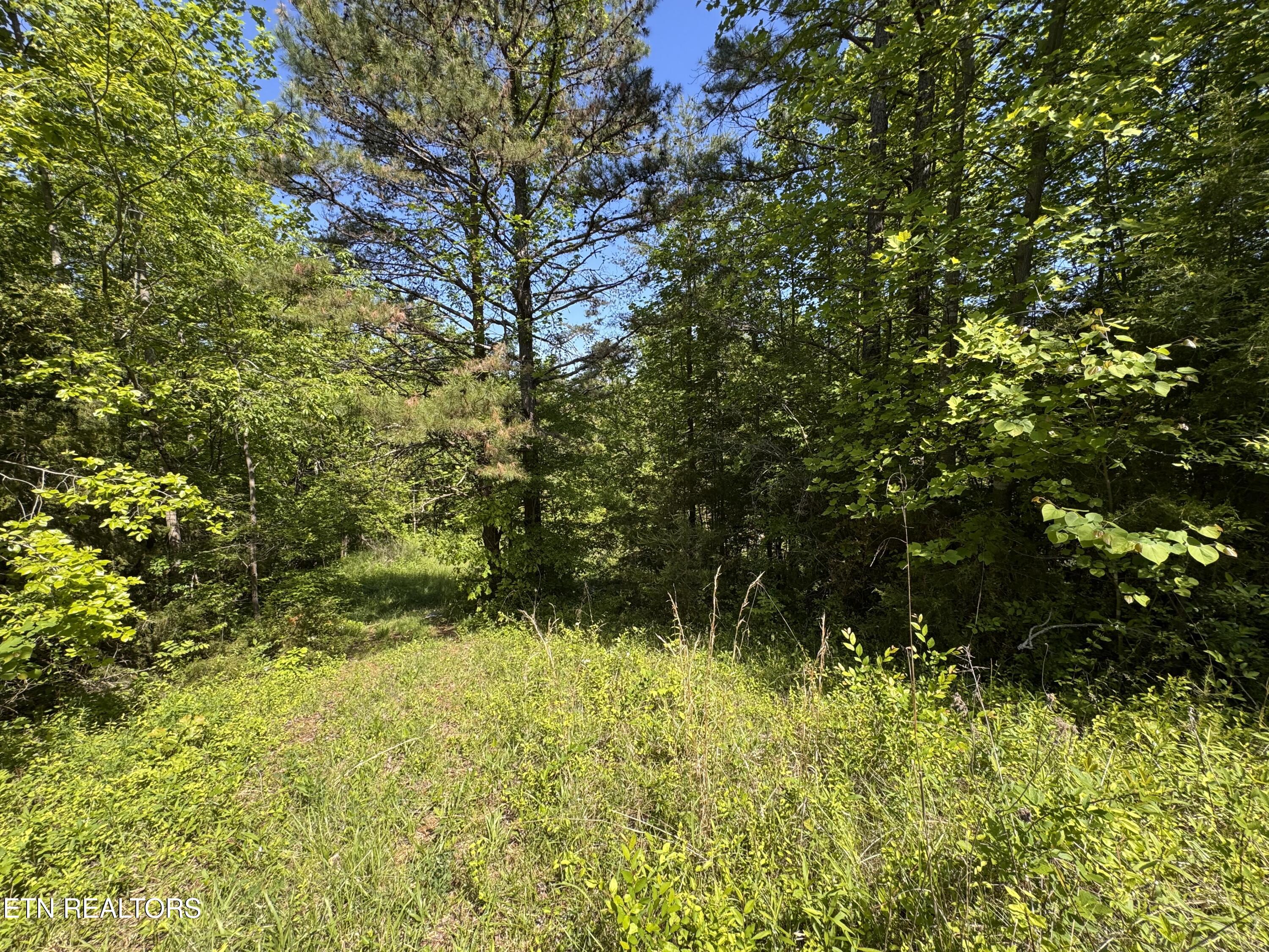 720 Merry Way Parrottsville TN 37843