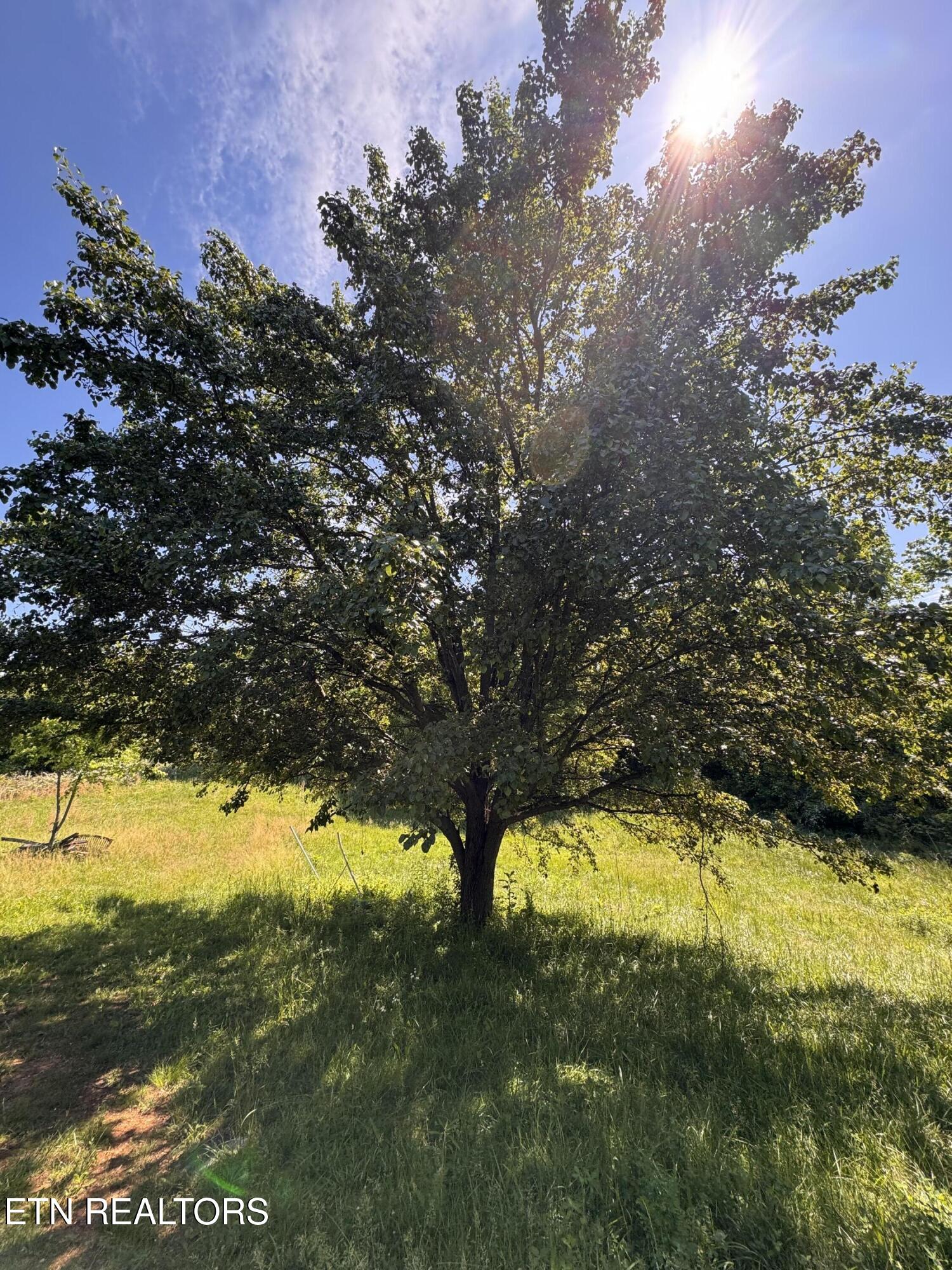 720 Merry Way Parrottsville TN 37843