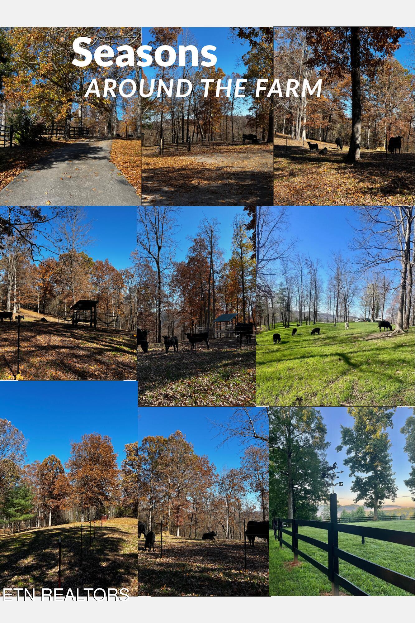 105 Speers Road Kingston TN 37763