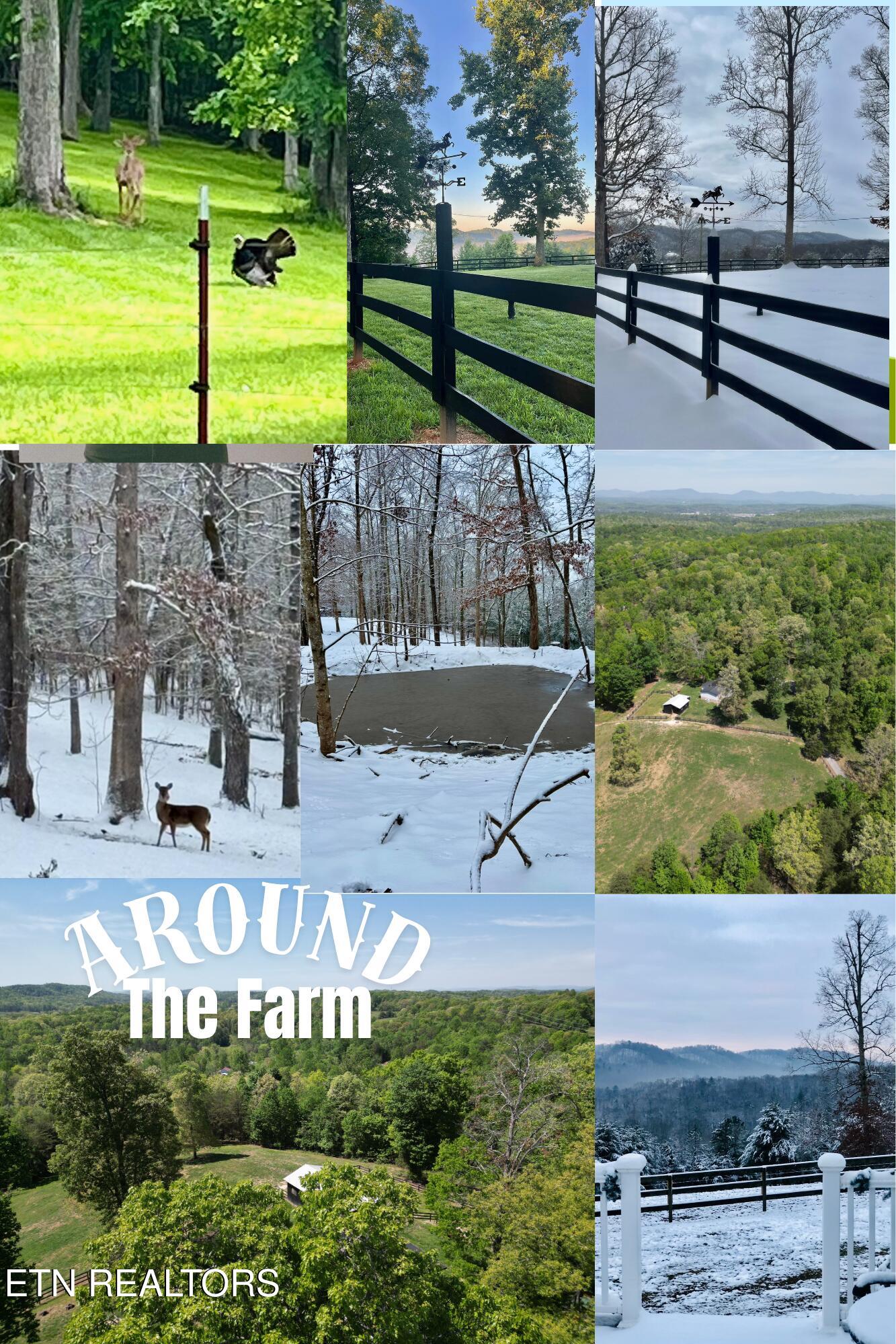 105 Speers Road Kingston TN 37763
