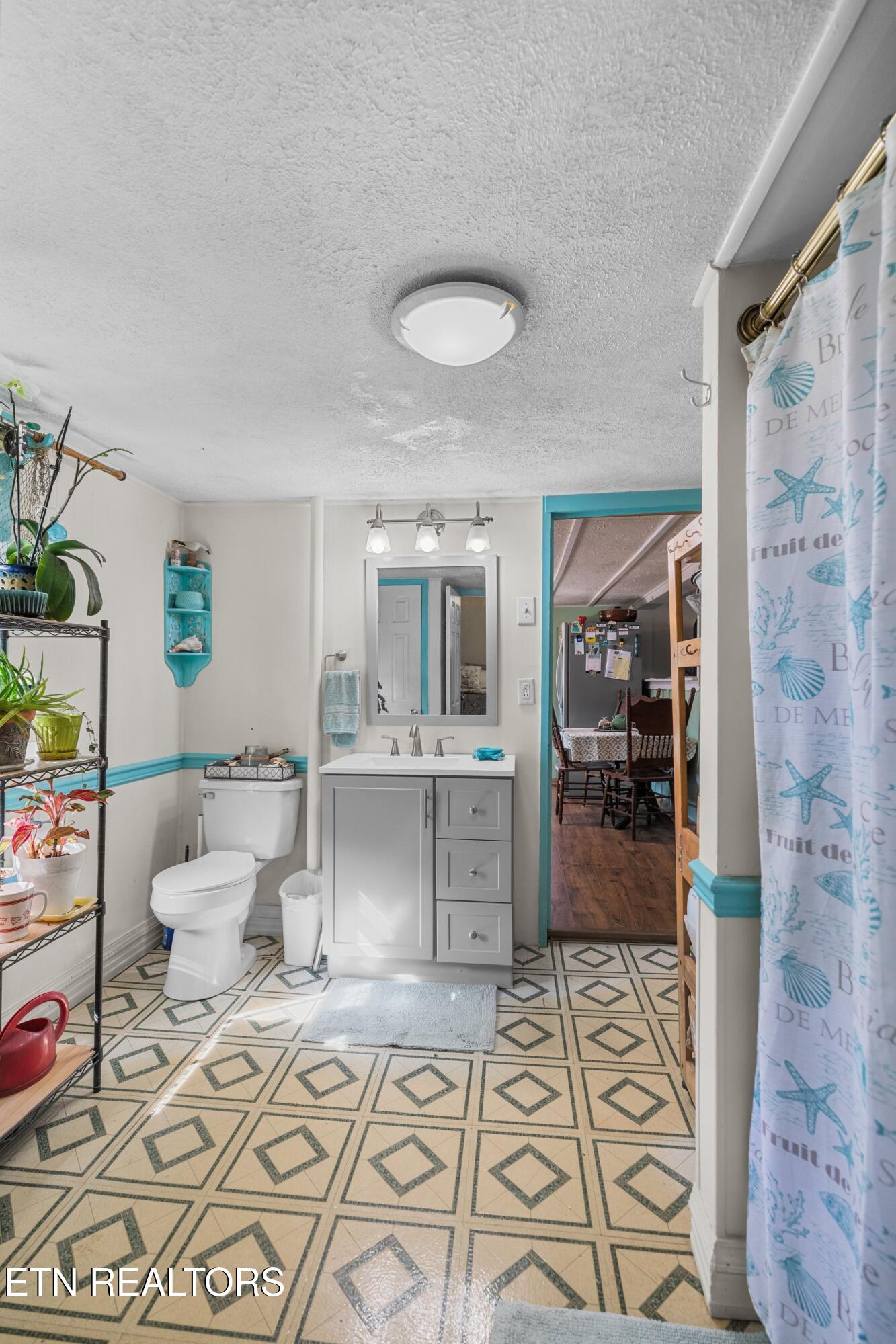 3621 Leadvale Road White Pine TN 37890
