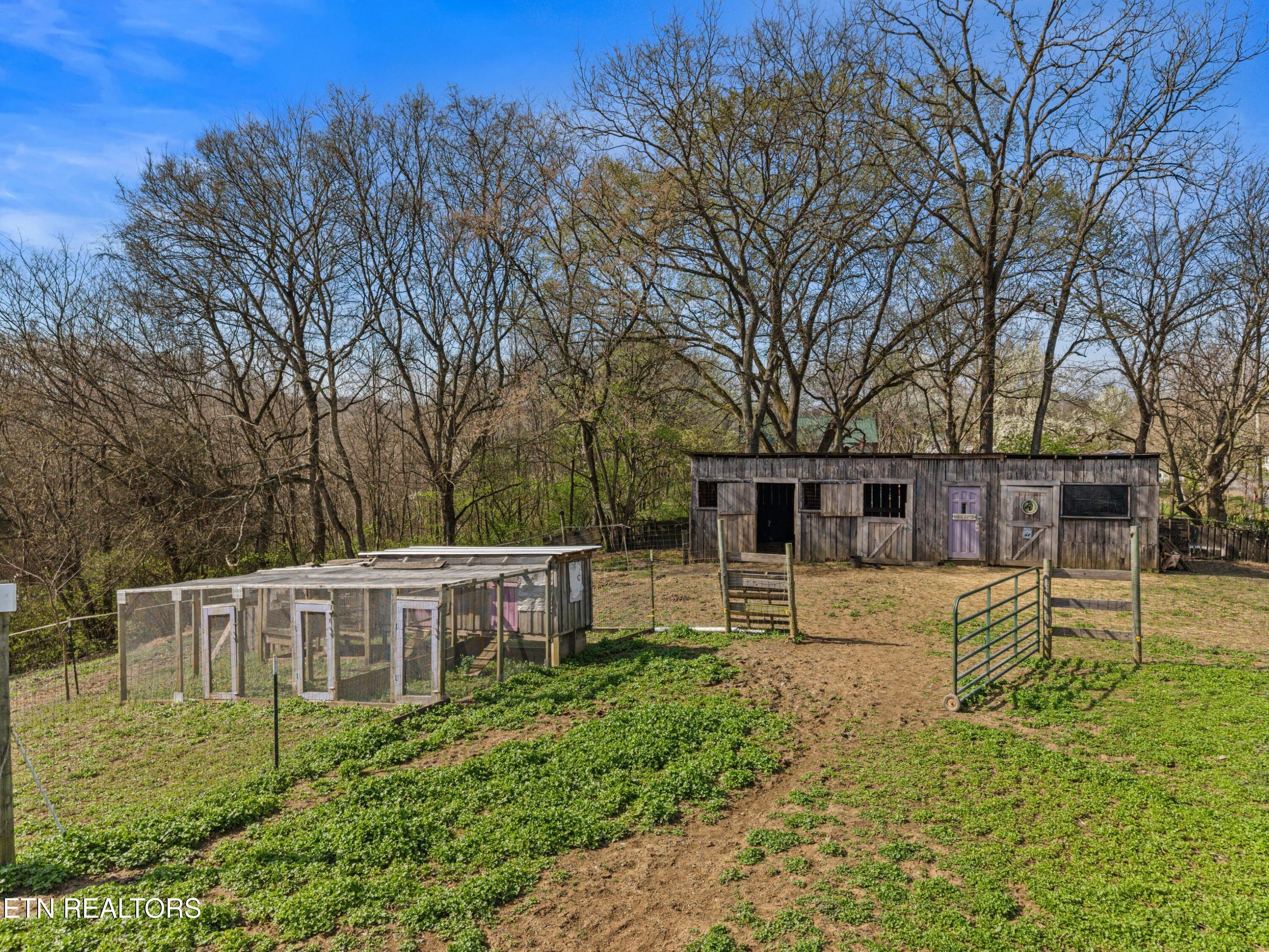 3621 Leadvale Road White Pine TN 37890