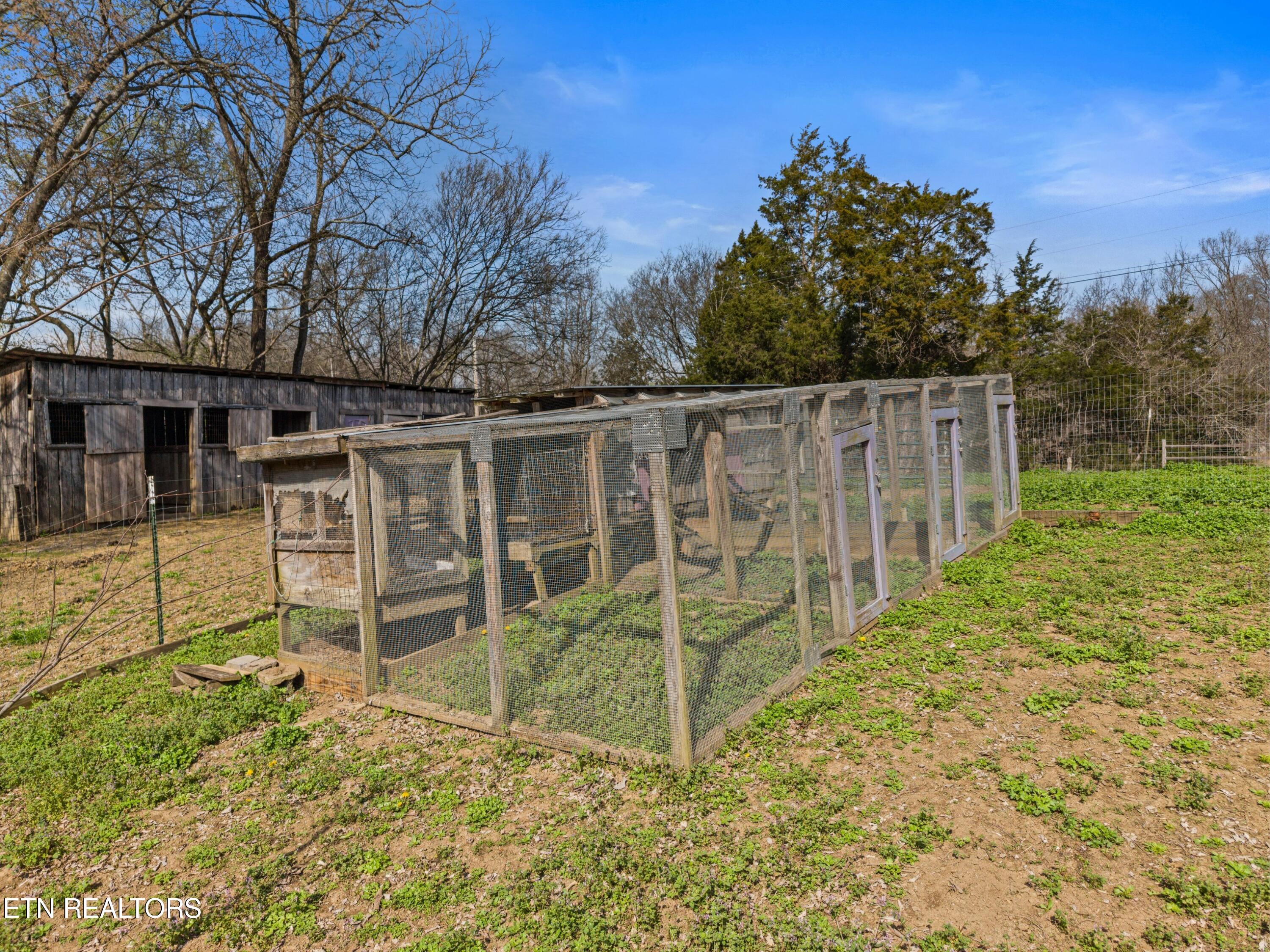 3621 Leadvale Road White Pine TN 37890