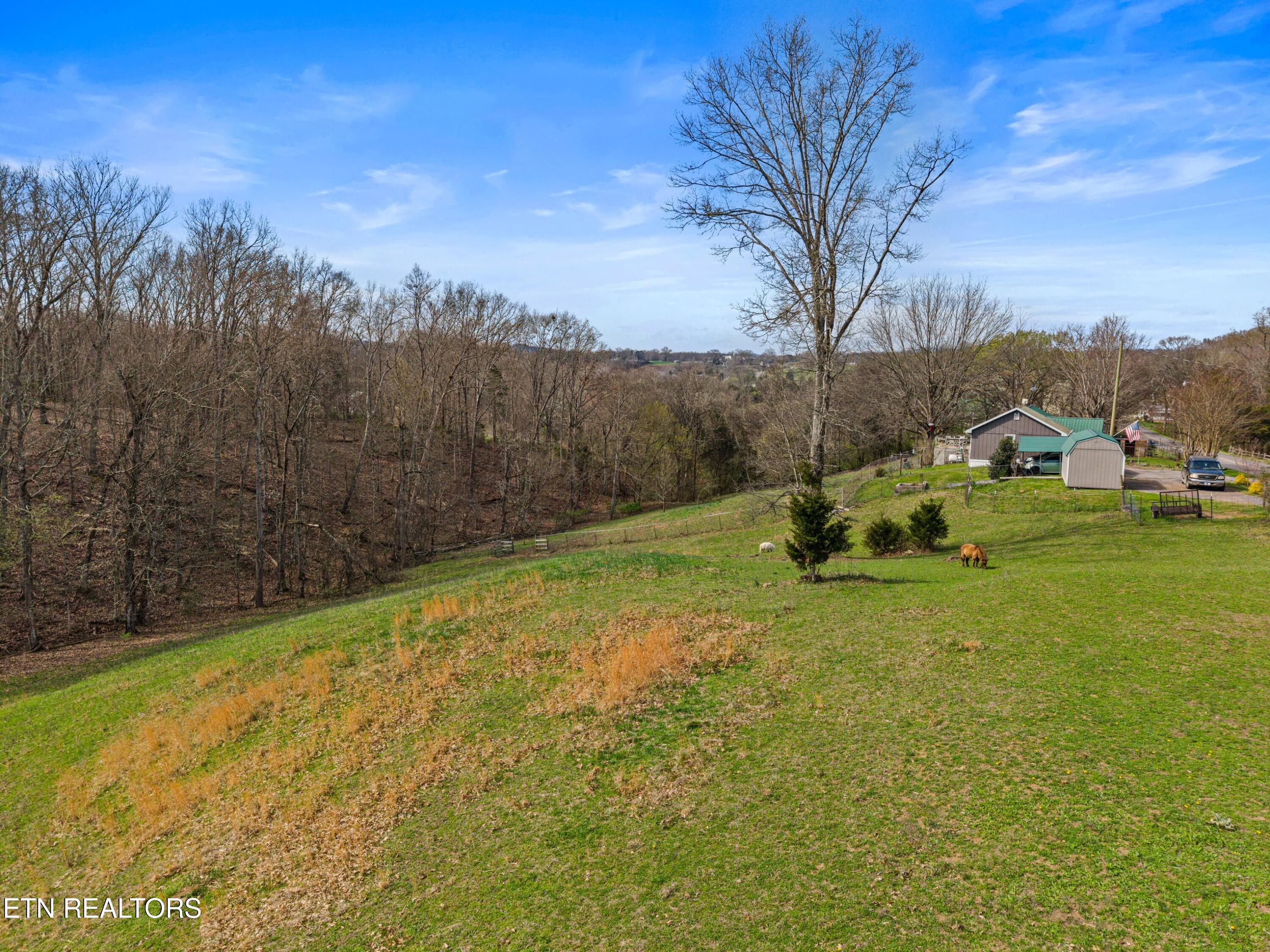 3621 Leadvale Road White Pine TN 37890