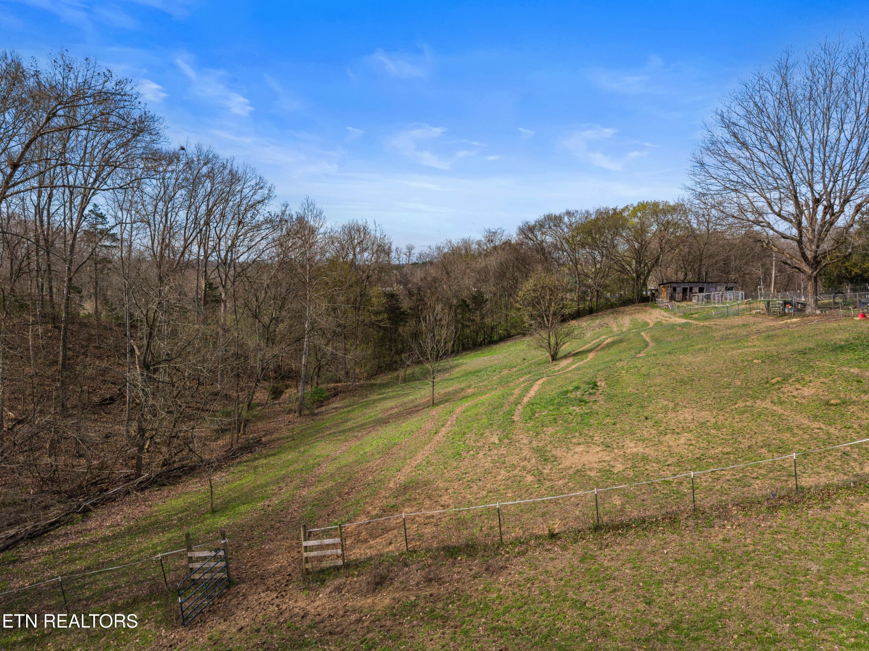 3621 Leadvale Road White Pine TN 37890