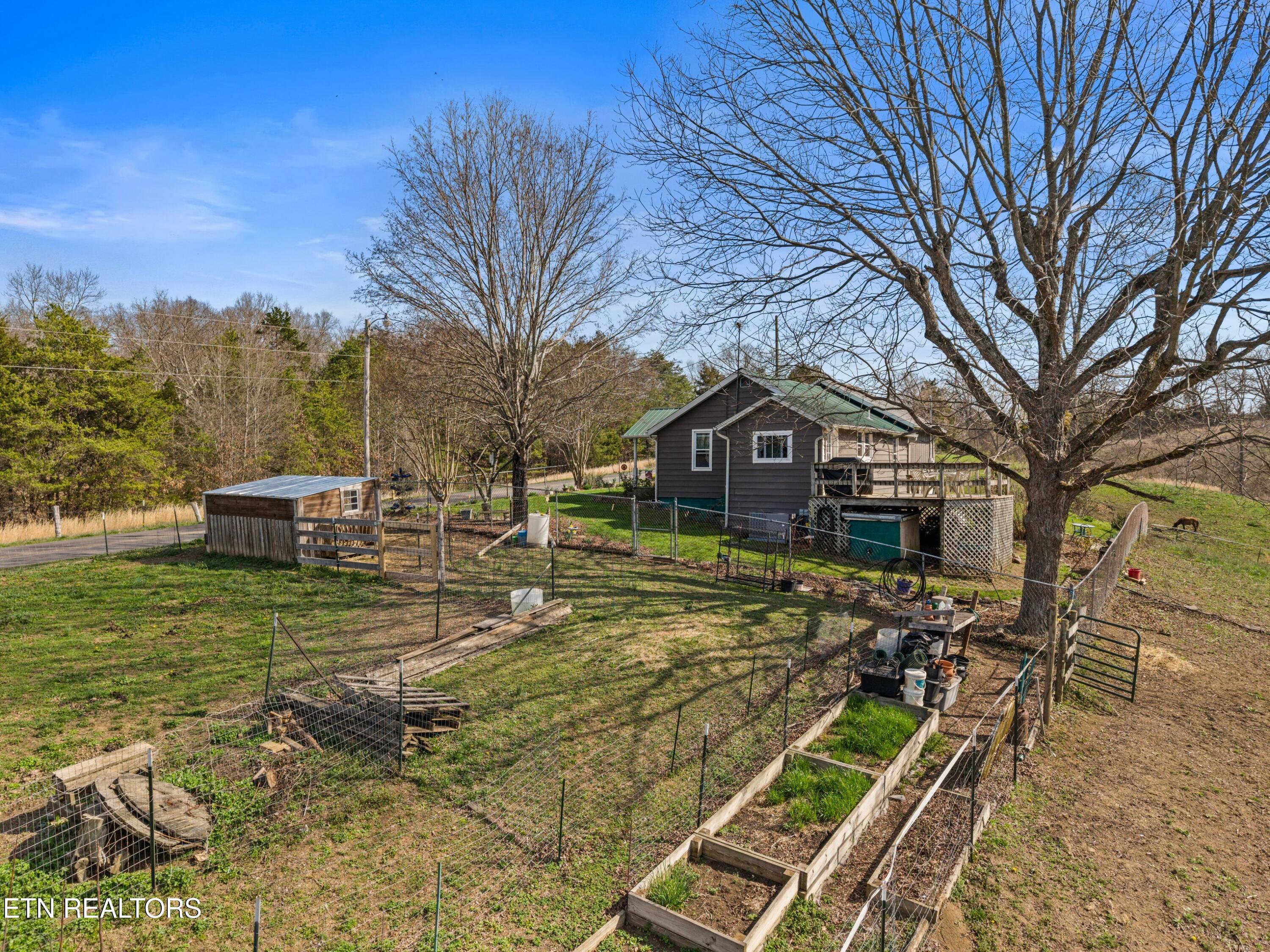 3621 Leadvale Road White Pine TN 37890