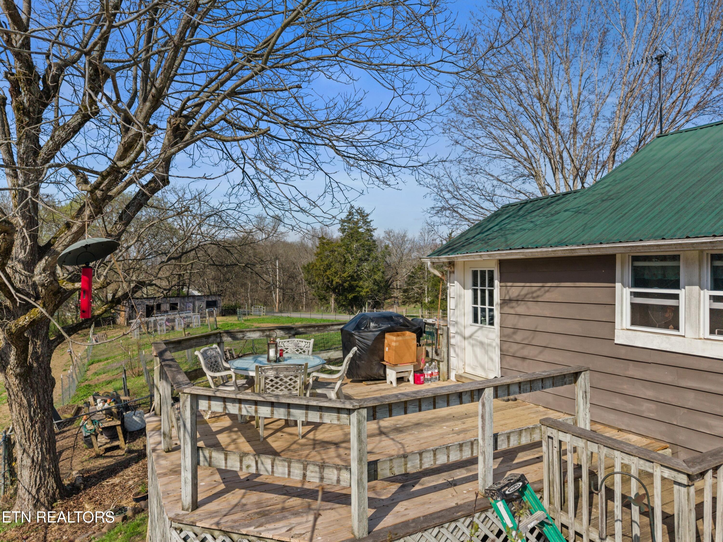 3621 Leadvale Road White Pine TN 37890