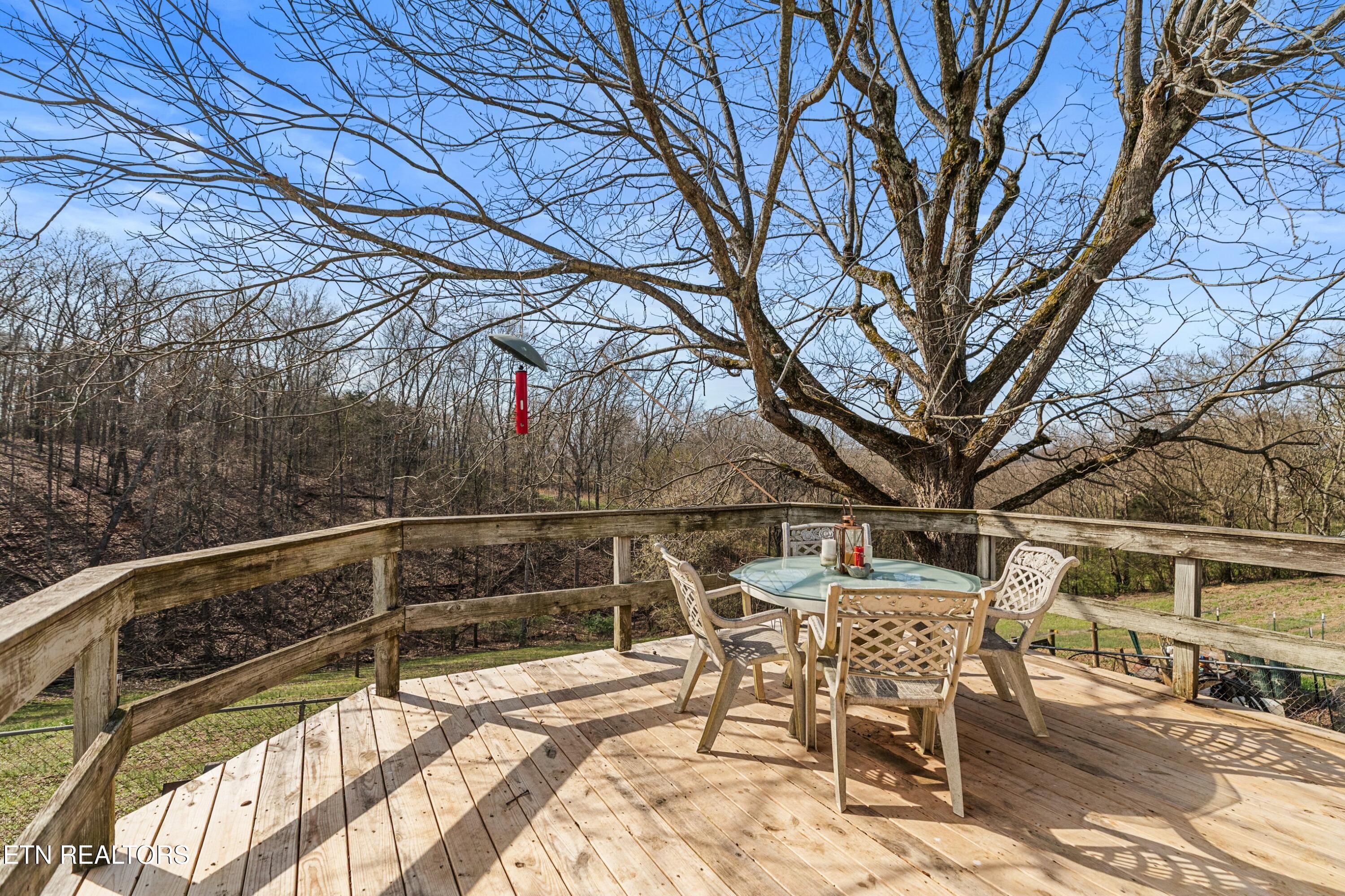 3621 Leadvale Road White Pine TN 37890