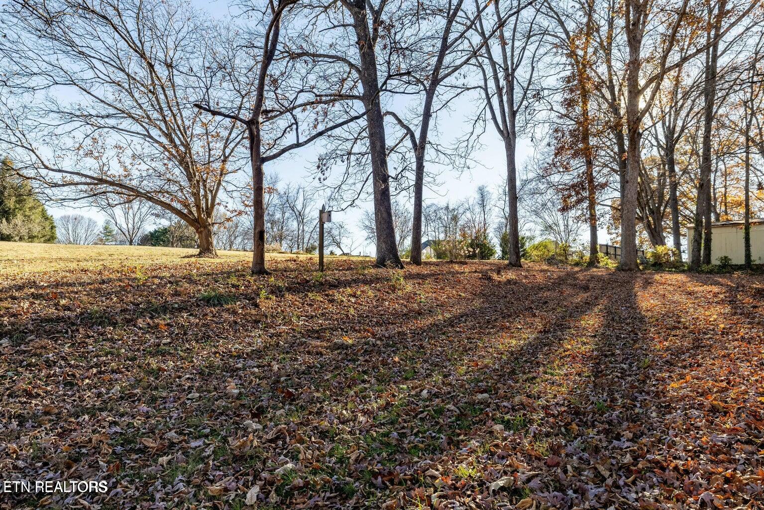 1534 Mcilvaine Drive Maryville TN 37803