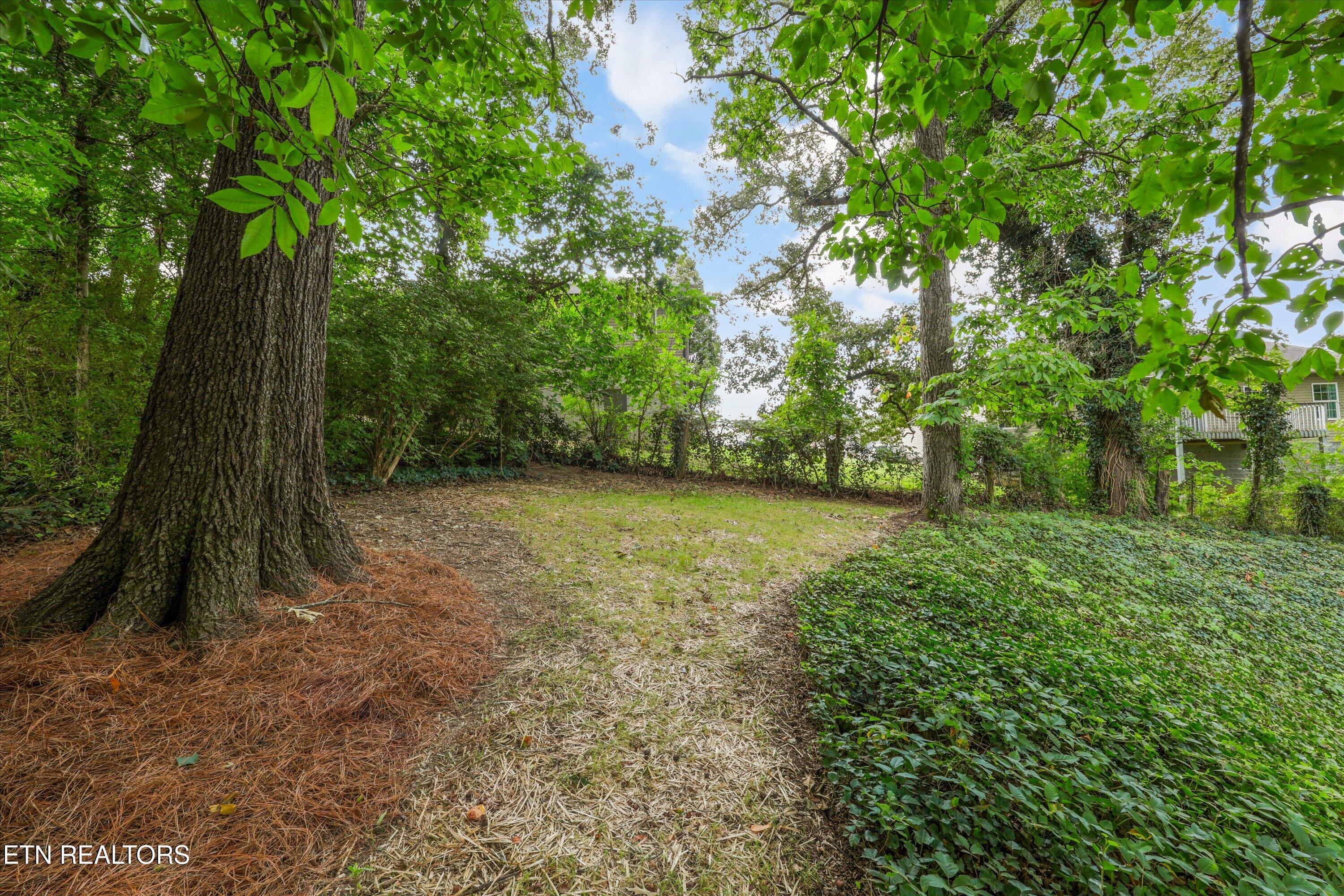 1700 Lockwood Drive Knoxville TN 37918
