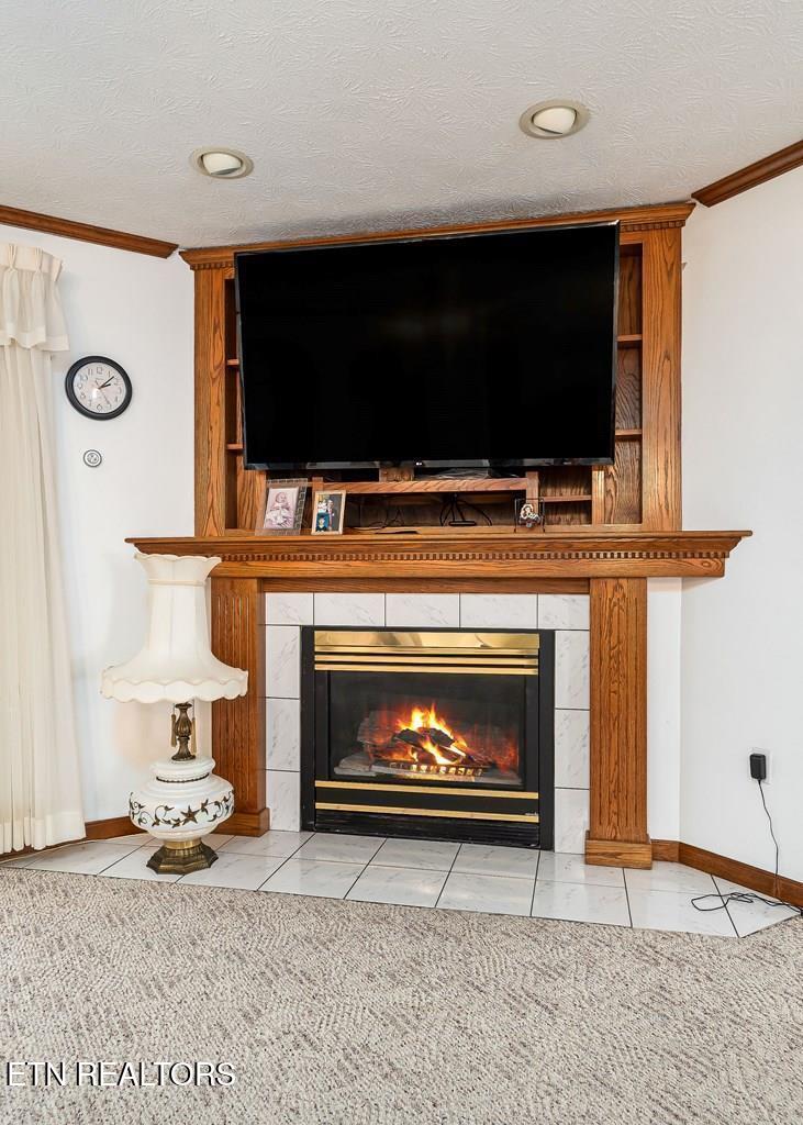 296 Idlewild Drive Drive Sparta TN 38583