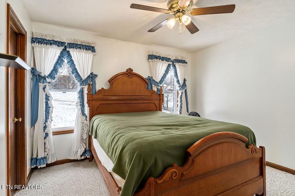 296 Idlewild Drive Drive Sparta TN 38583