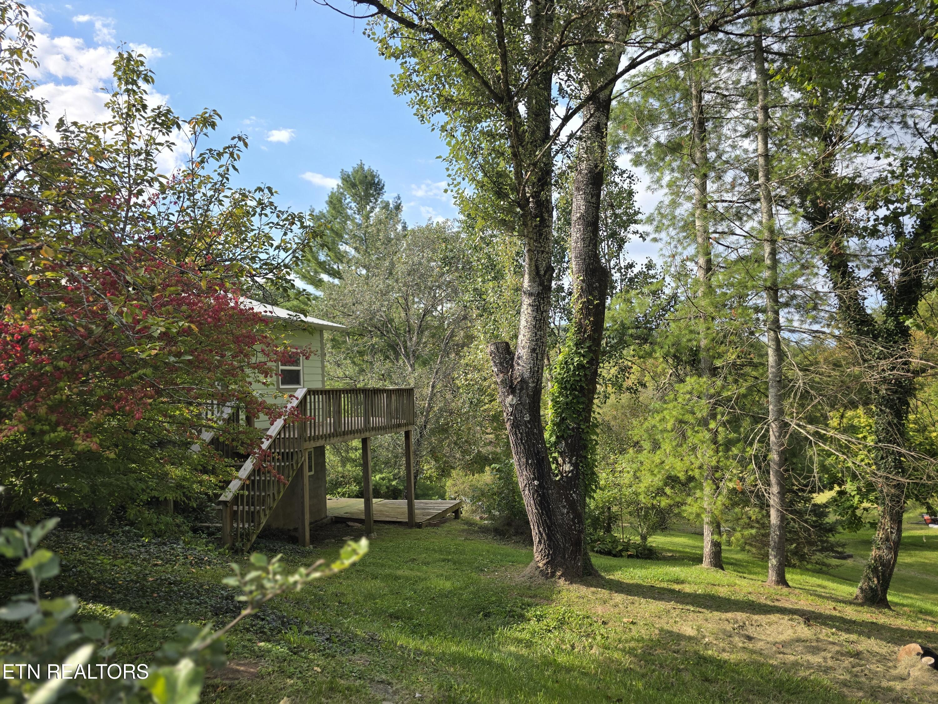 197 Wolfe Road Sneedville TN 37869