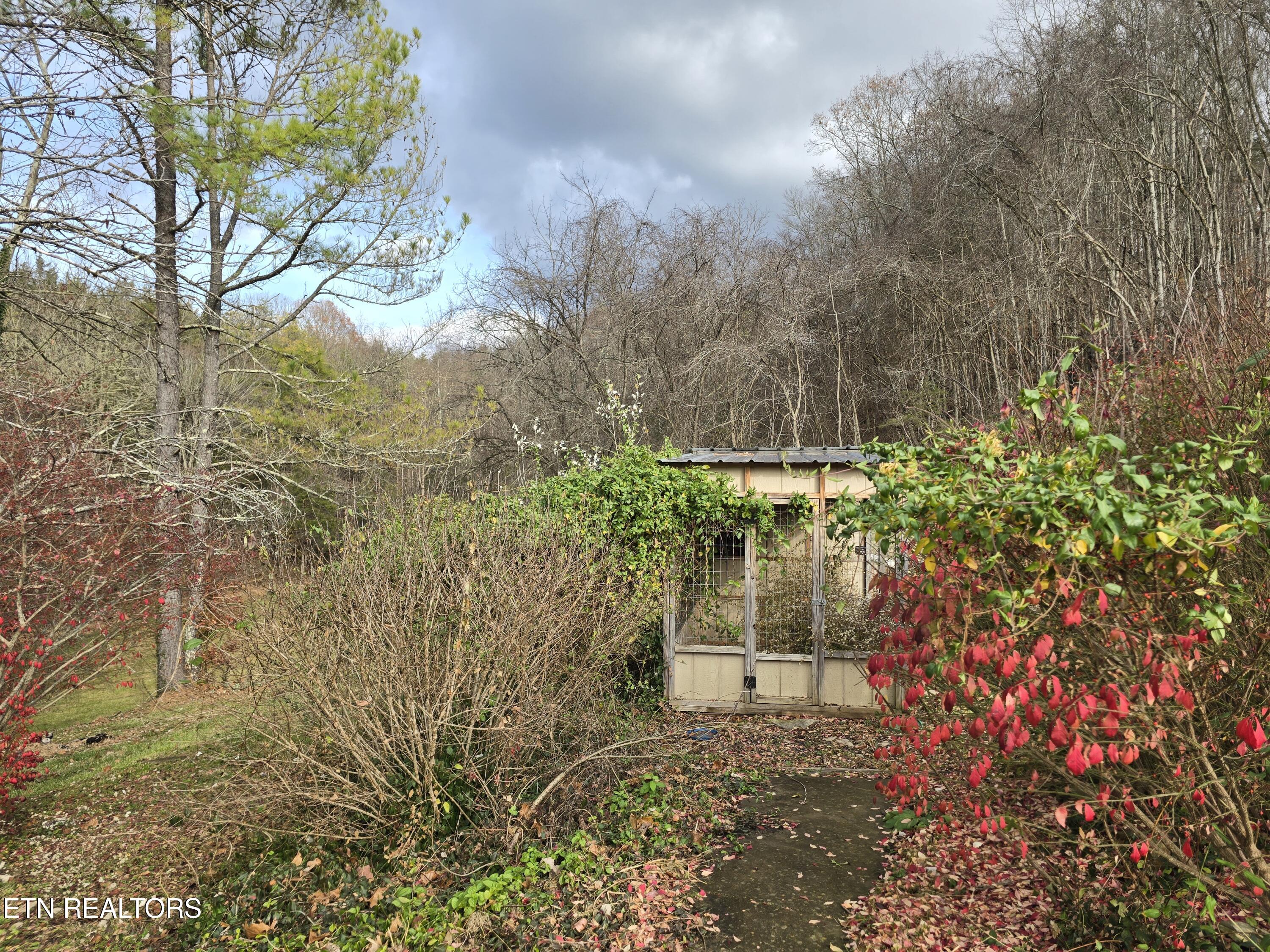 197 Wolfe Road Sneedville TN 37869