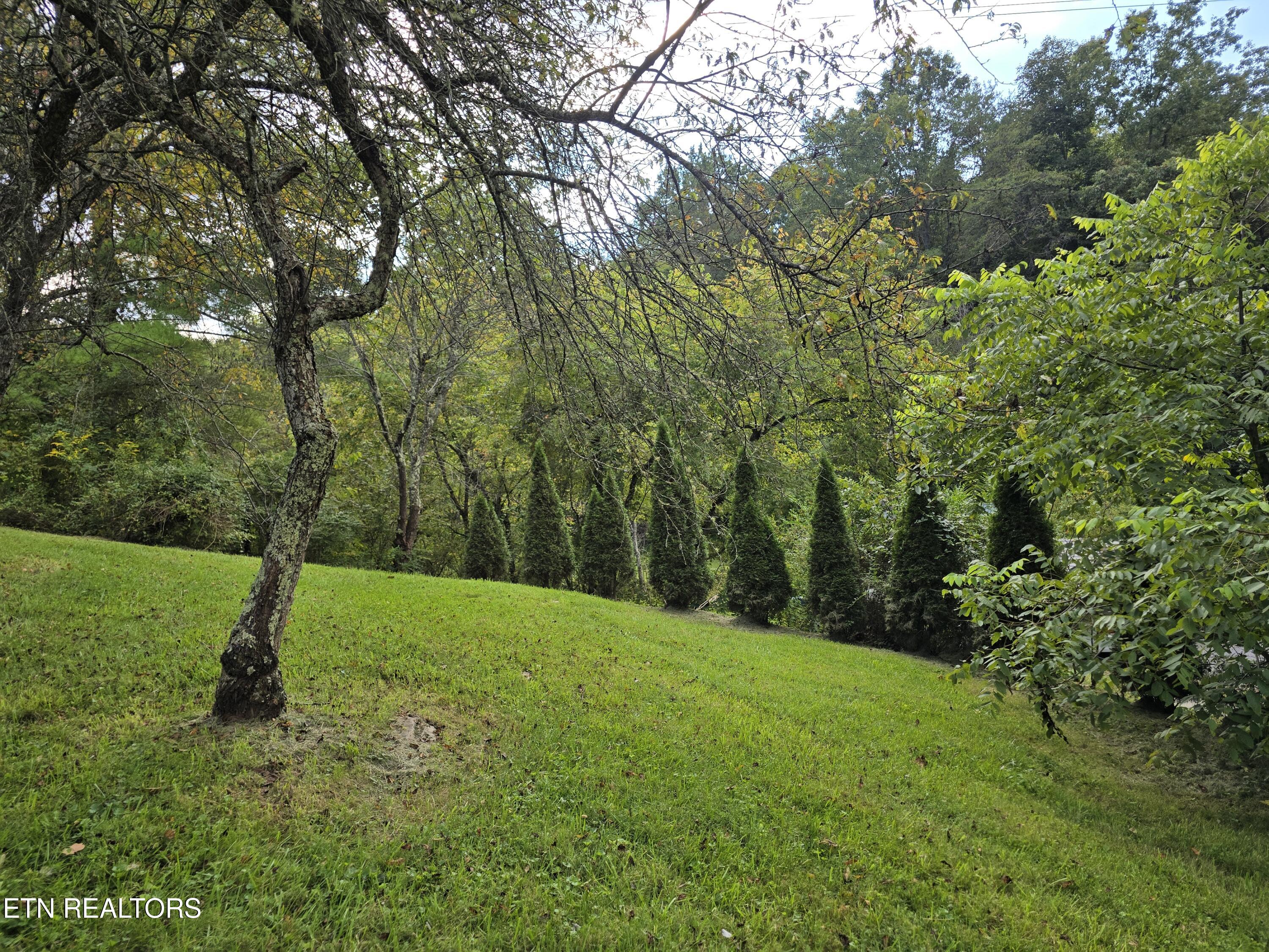 197 Wolfe Road Sneedville TN 37869
