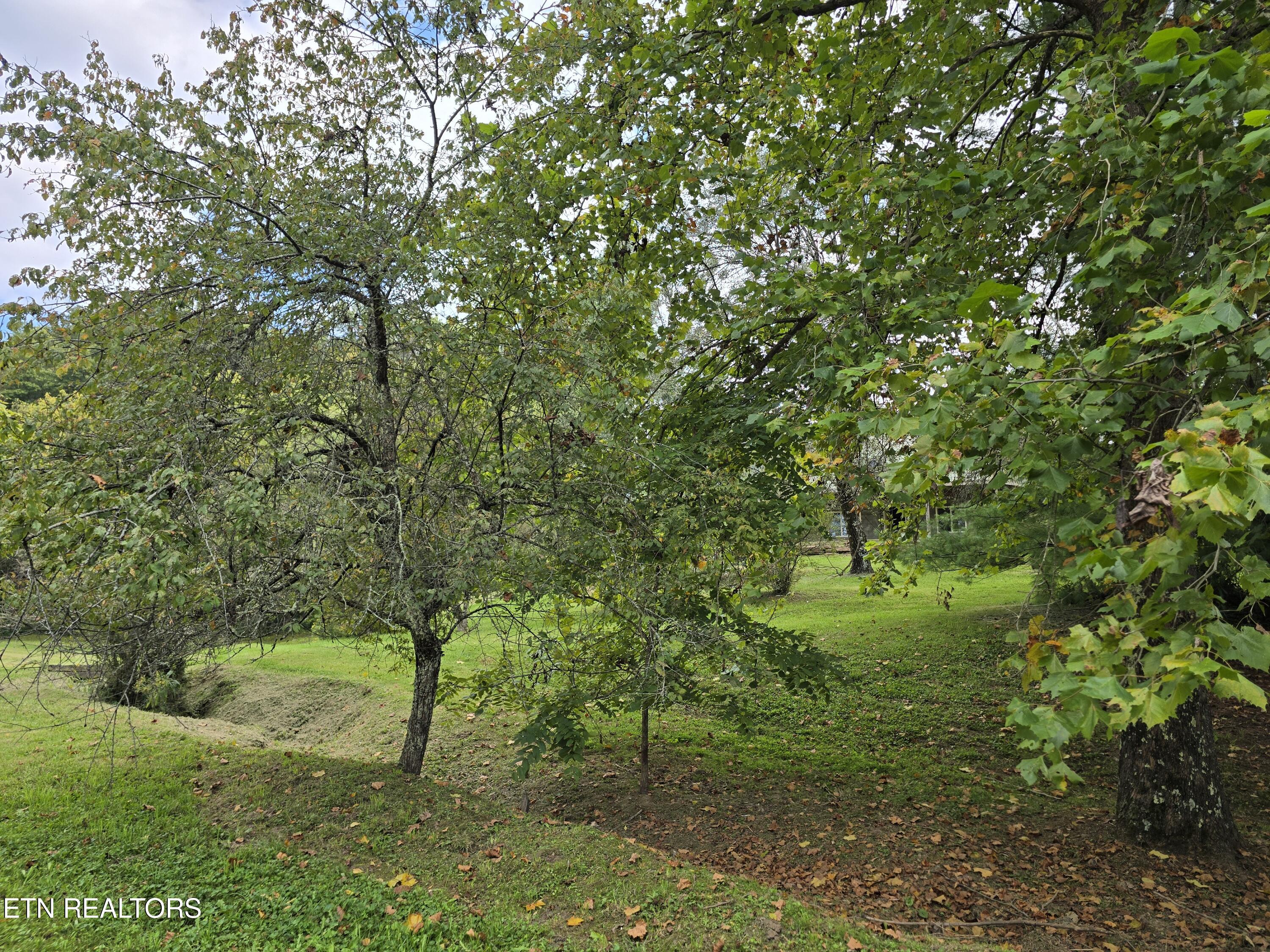 197 Wolfe Road Sneedville TN 37869