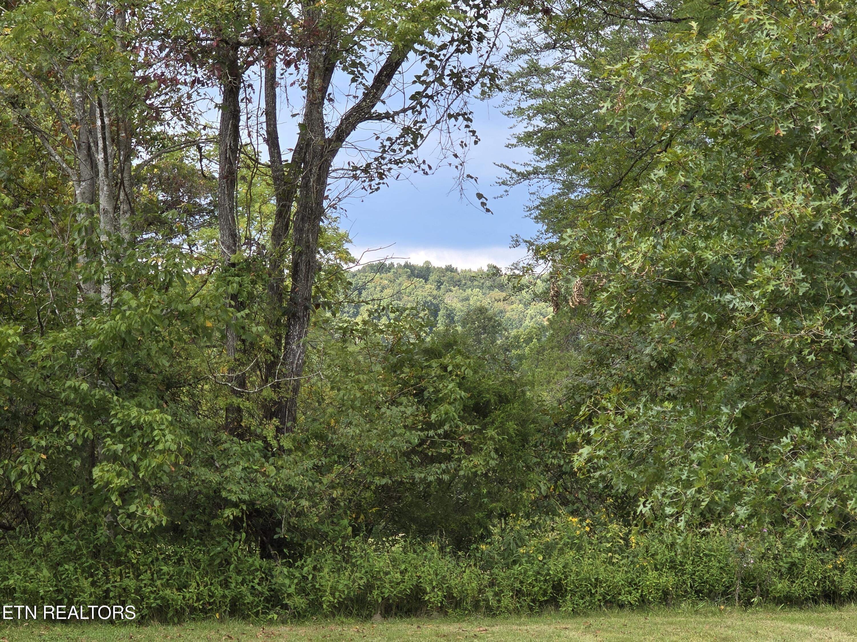 197 Wolfe Road Sneedville TN 37869